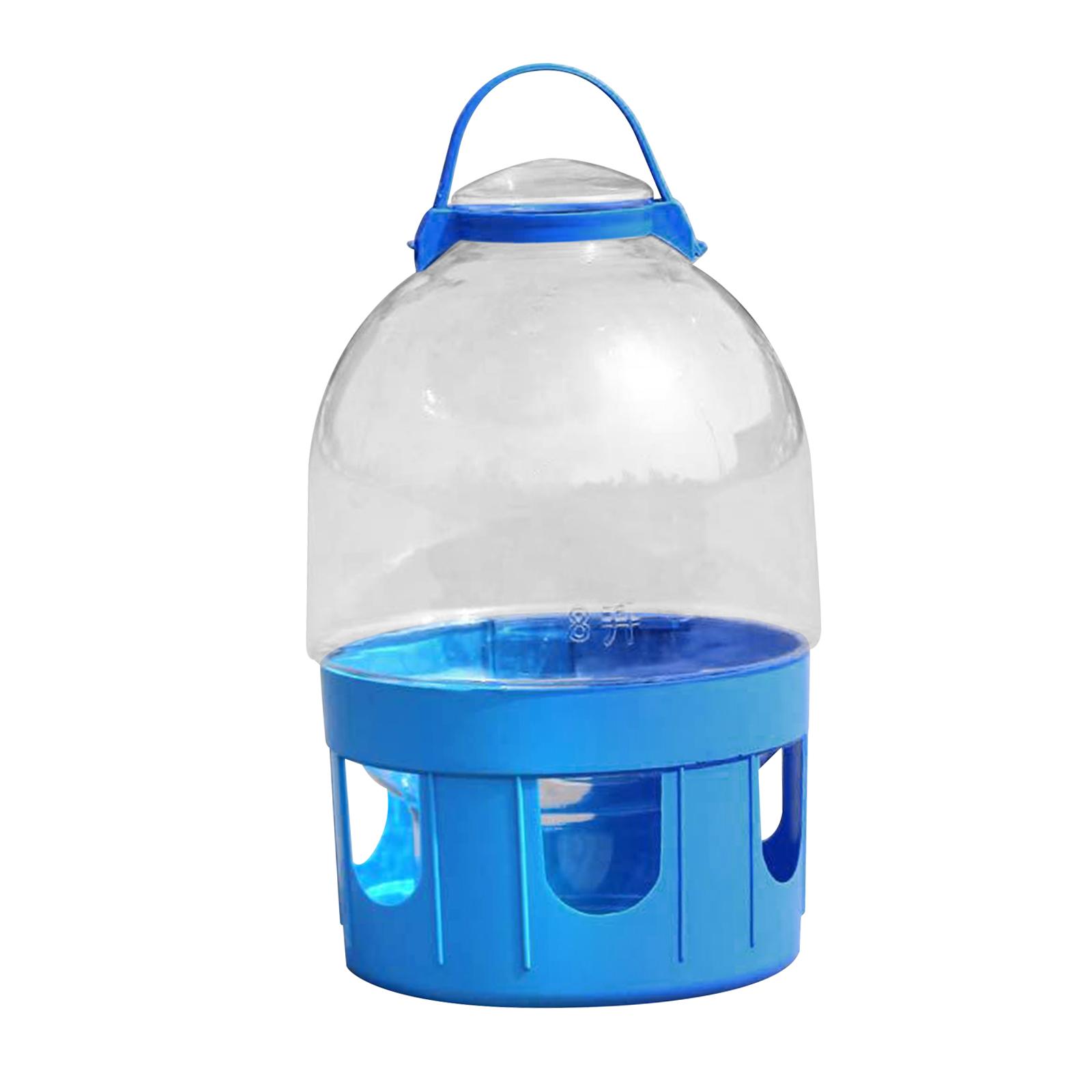 Bird Cage Feeder