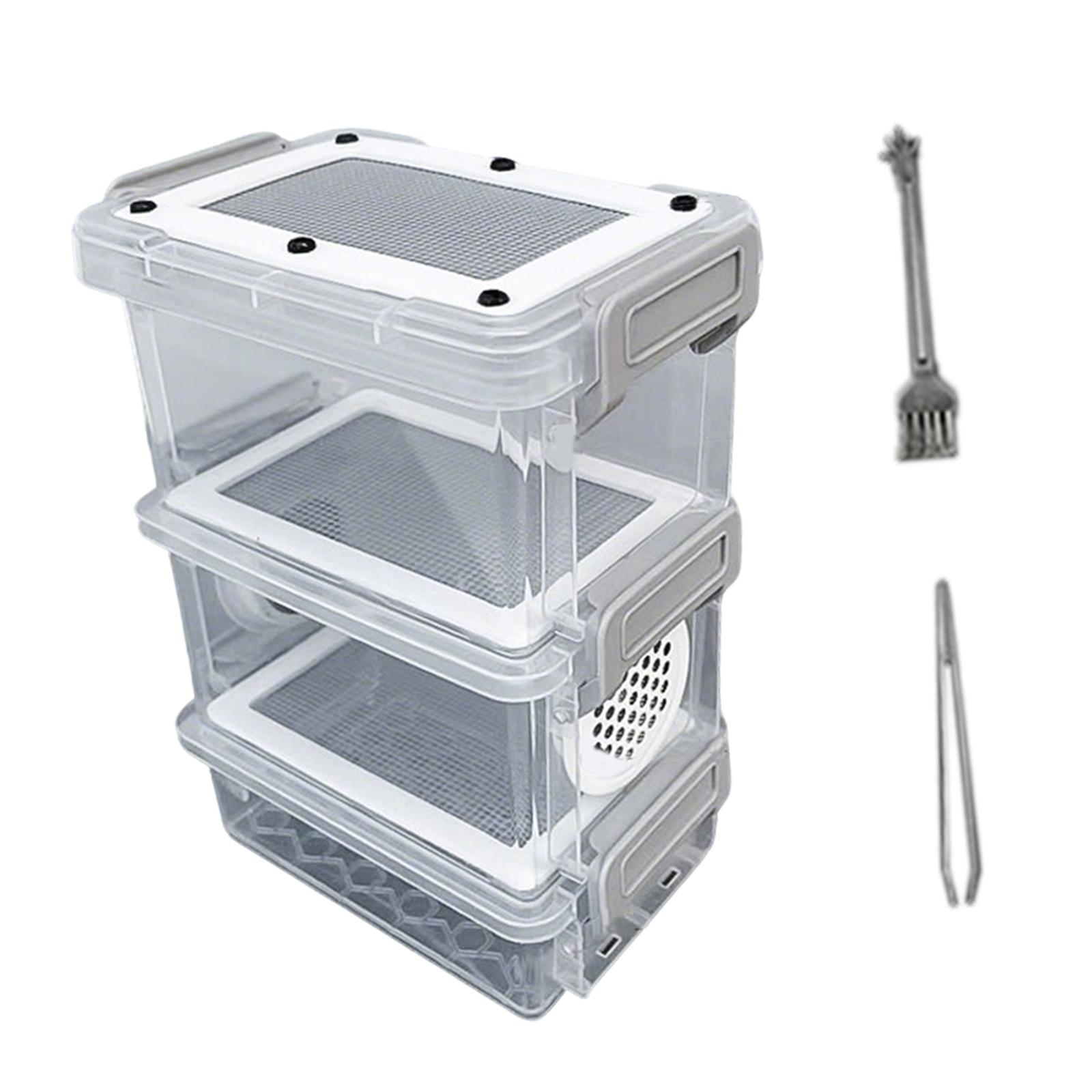 Roach Feeding Box