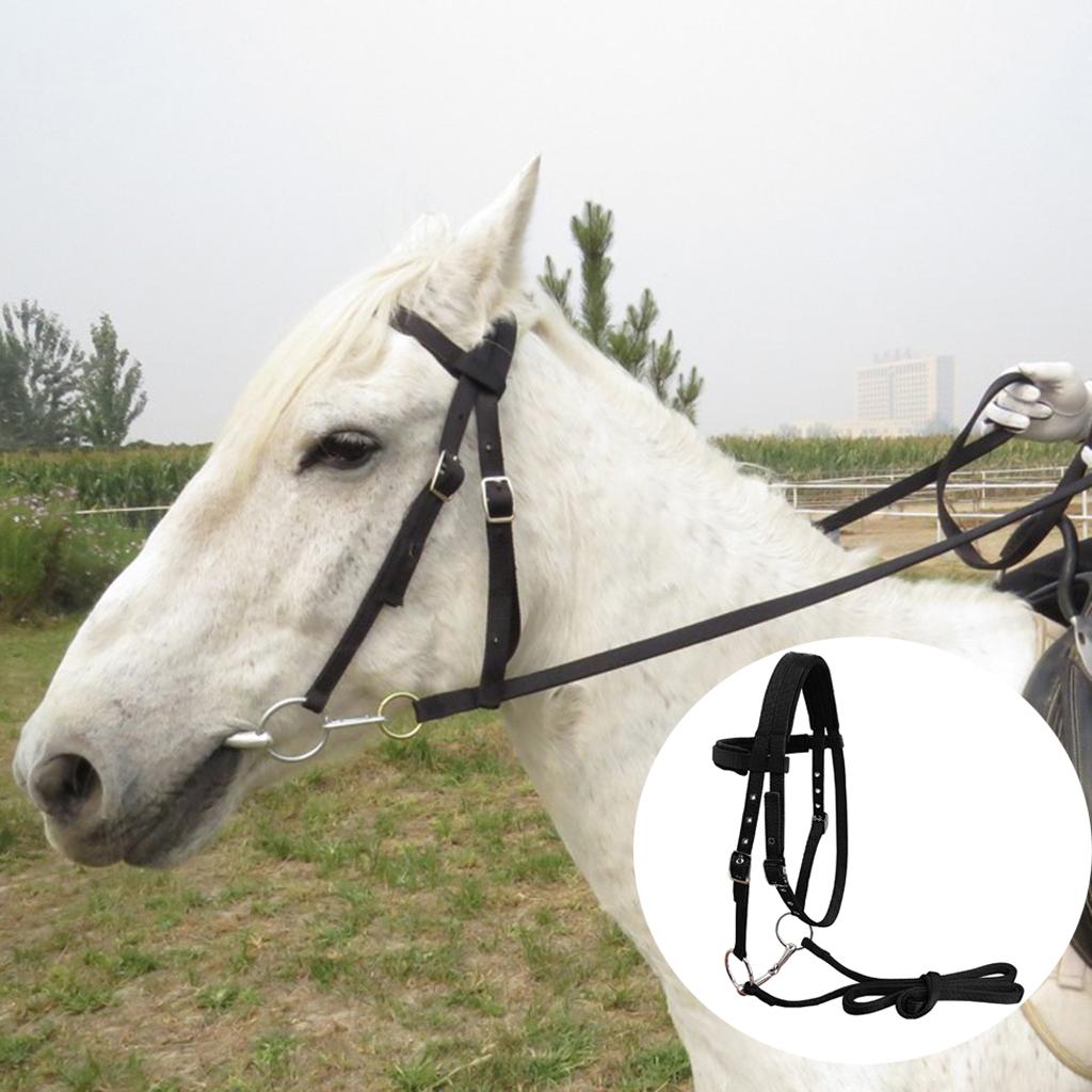 Horse Bridle Rein Harness Headstalls Removable Snaffle Nylon Webbing Black M