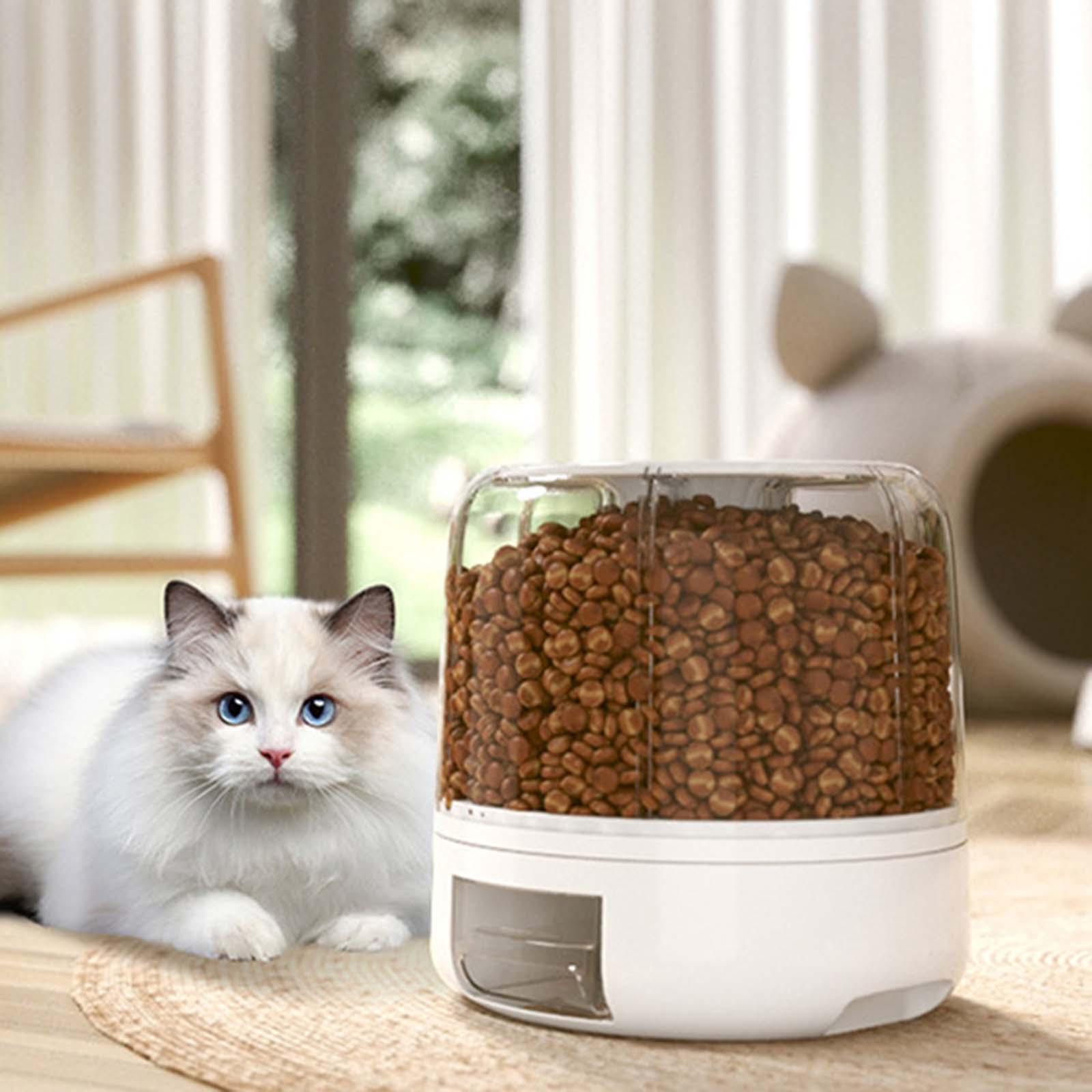 Cereal Grain Container Storage Dispenser Container for Millet beans S