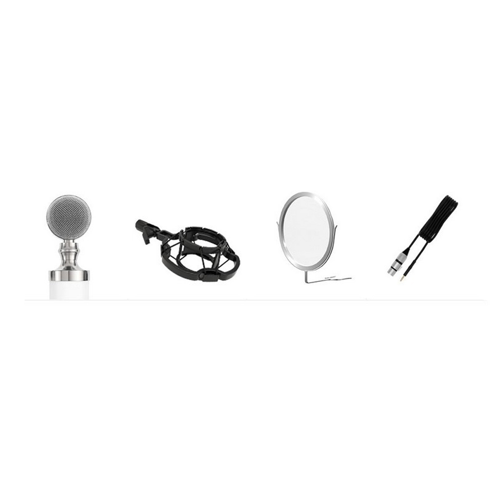 Plastic Mini Capacitance Mobile iPhone Microphone White
