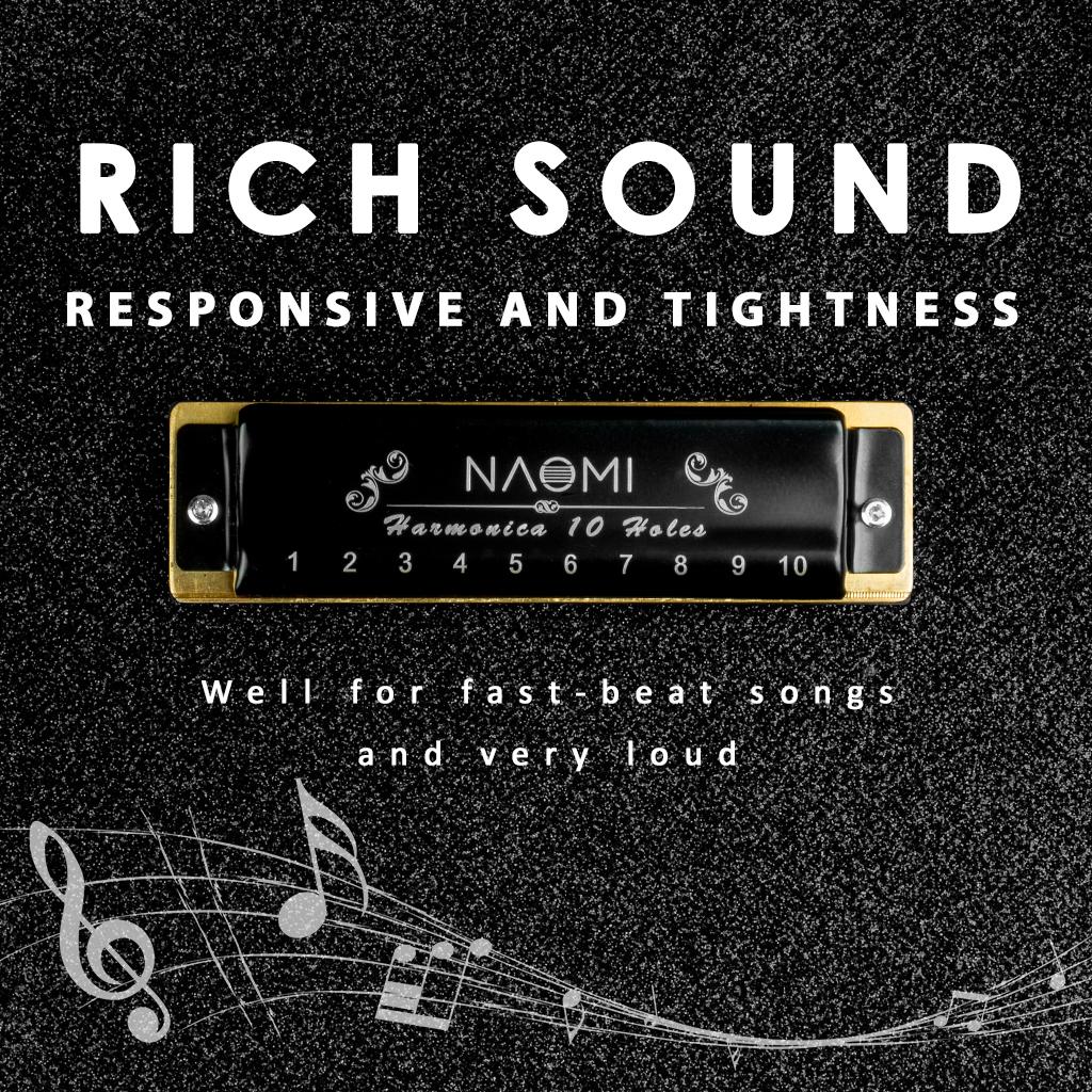 Portable Harmonica 10 Holes Mouth Organ for Kids Musicians Adults