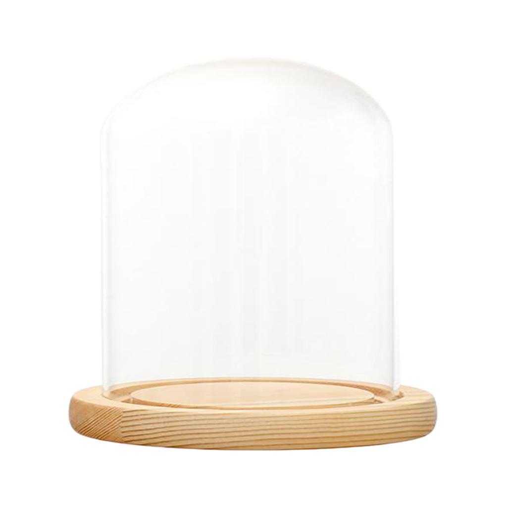 Clear Glass Display Dome with LED Wood Base Microlandscape Holder E 12x12cm