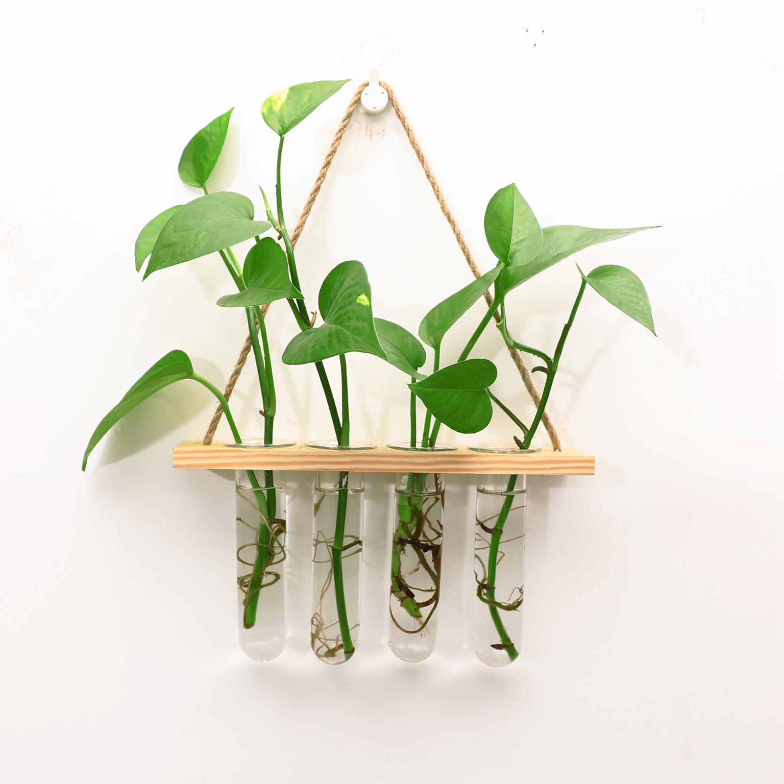 Glass Hanging Planter Terrarium Plants Wood Hanger Test Tube Vase Natural