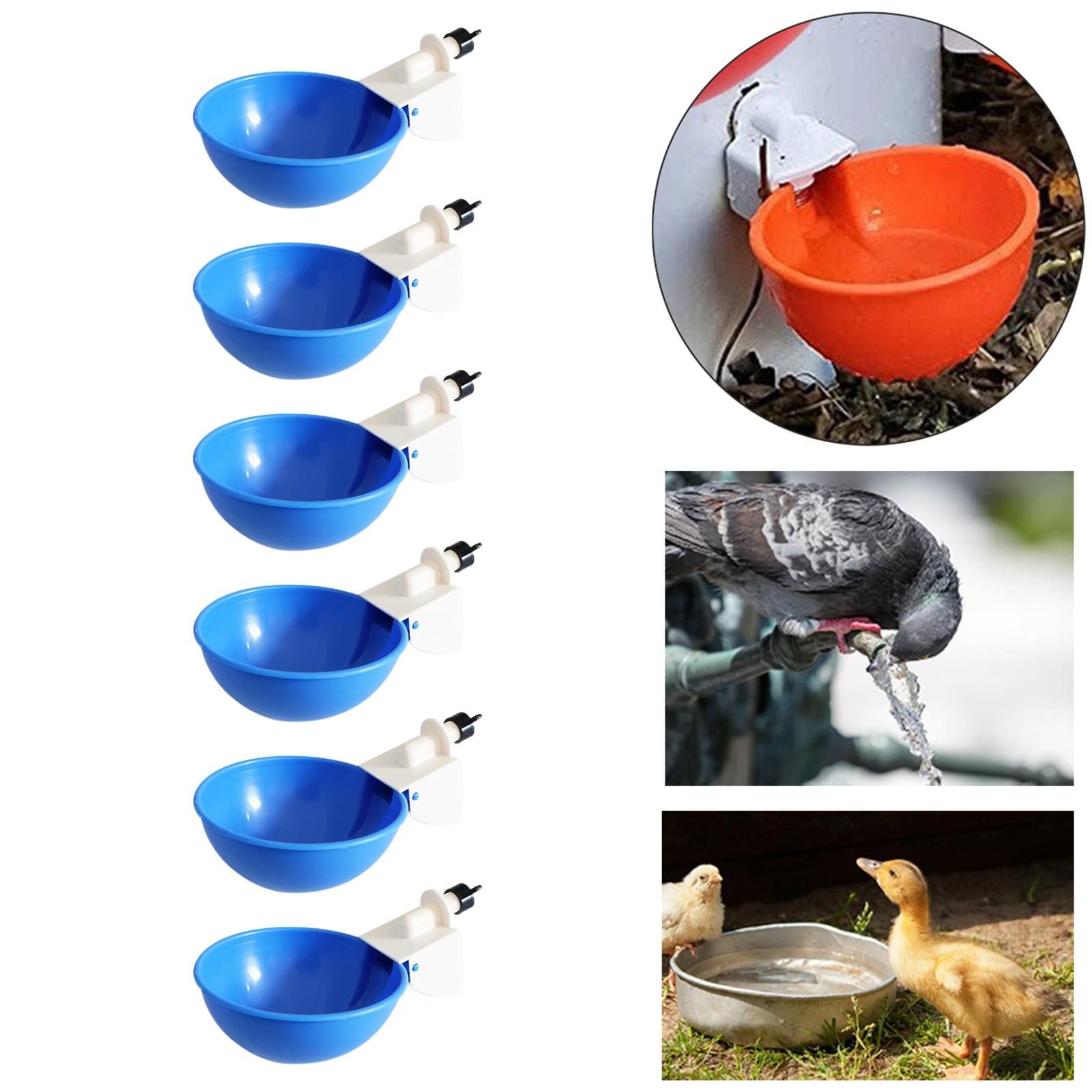 6 Pieces Chicken Drinkers Water Bowl Plastic Drinking Bowls for Quail Chicks Blue