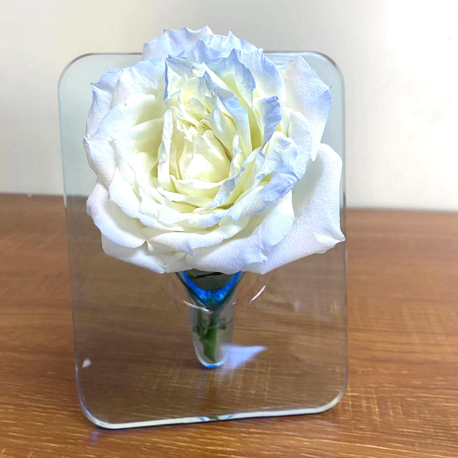 Glass Flower Vase Nordic Transparent Decorative Art Vases Floral Arrangement Blue