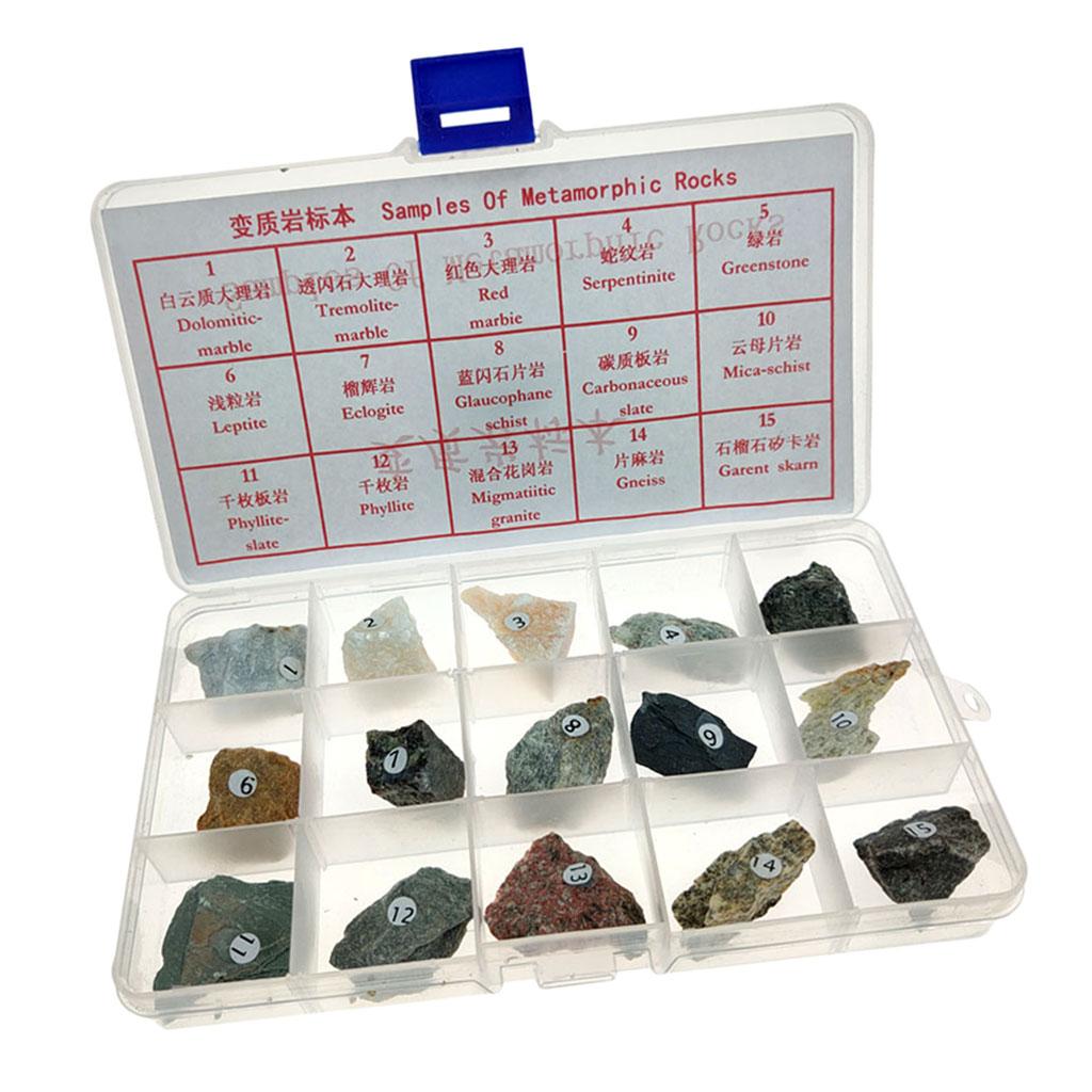 Metamorphic Rock Specimen Box
