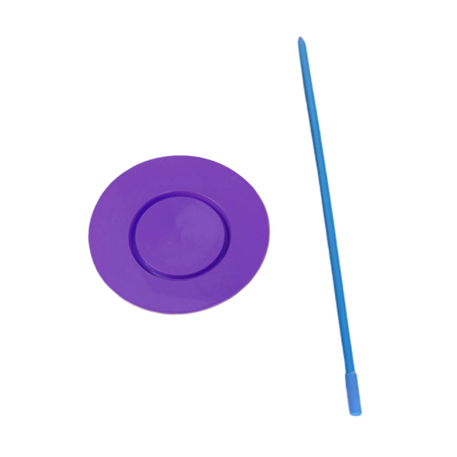 Juggling Spinning Plate Violet
