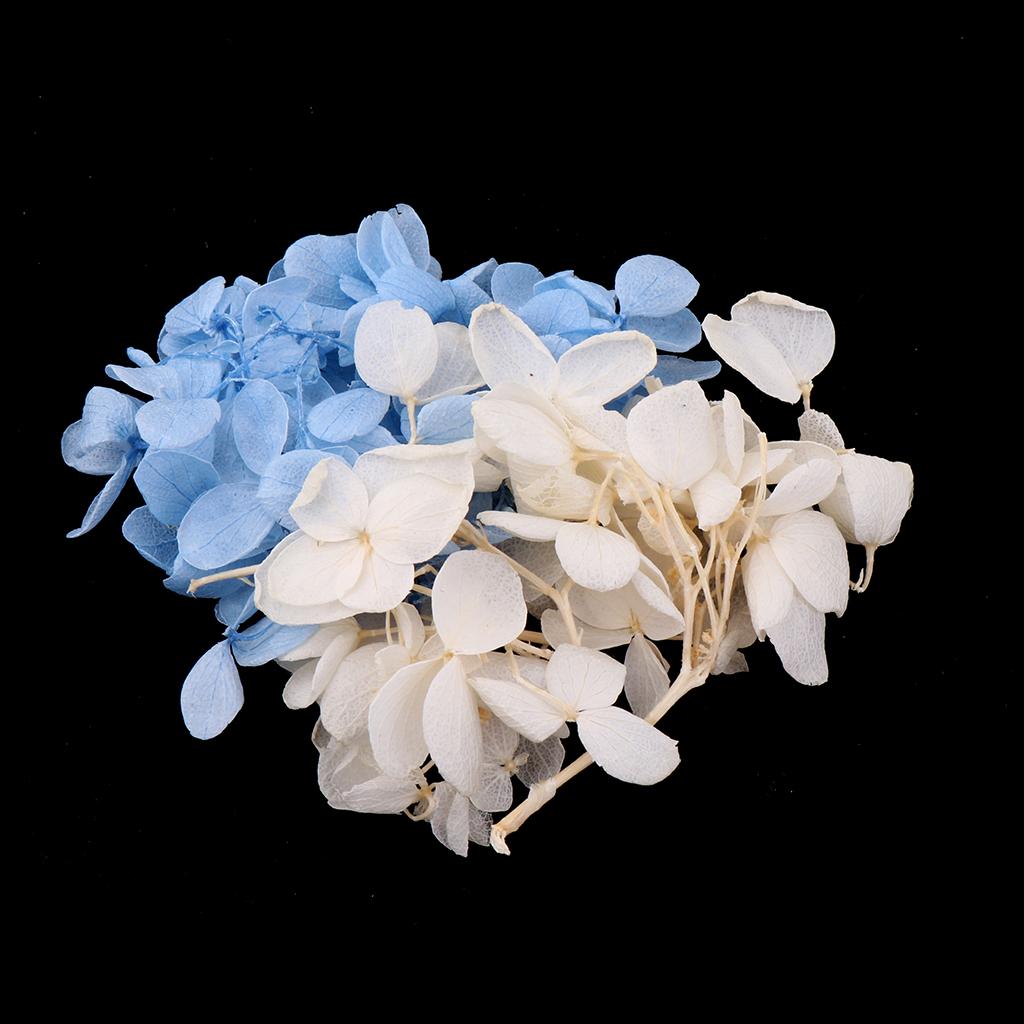 DIY Eternal Rose Flowers Making Kits Light Blue