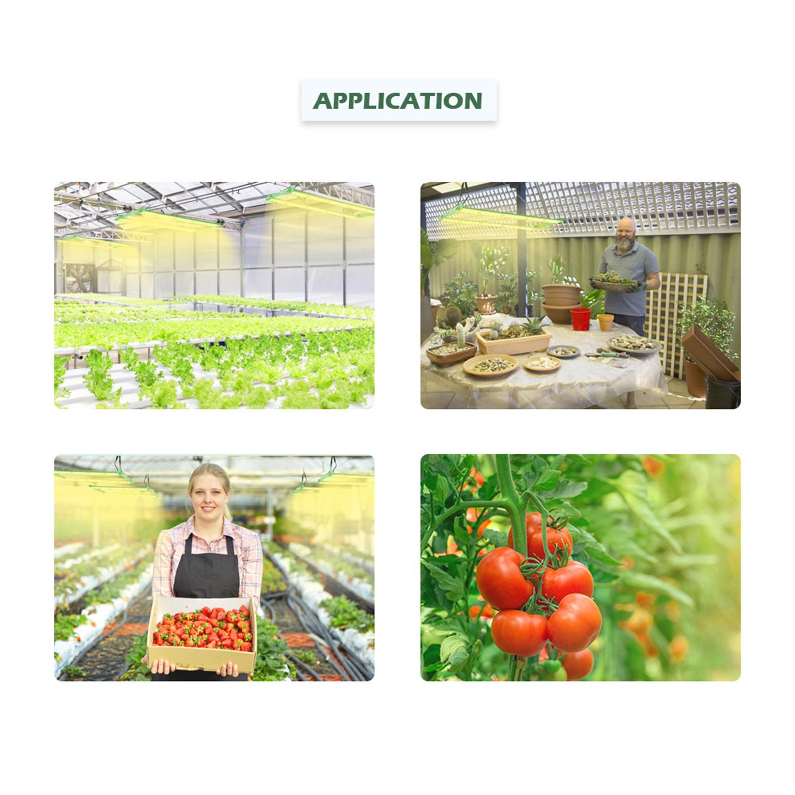 Plants Grow Lamp Plant Lamps Hydroponic System for Greenhouse Plants 135W