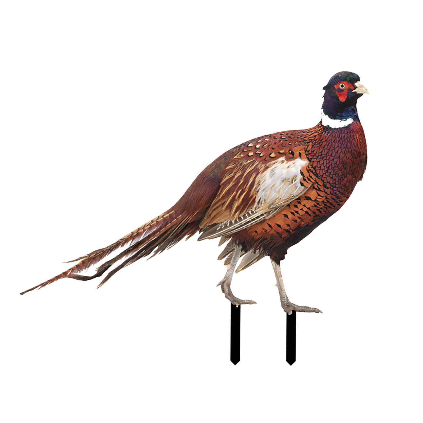 Pheasant Figurine