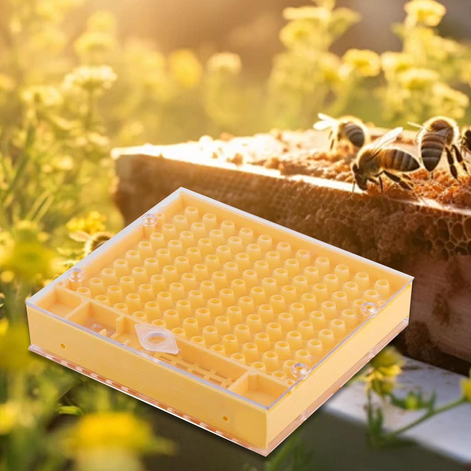 Queen Rearing Box Lightweight Practical for Gate Outdoor Apiculture Supplies