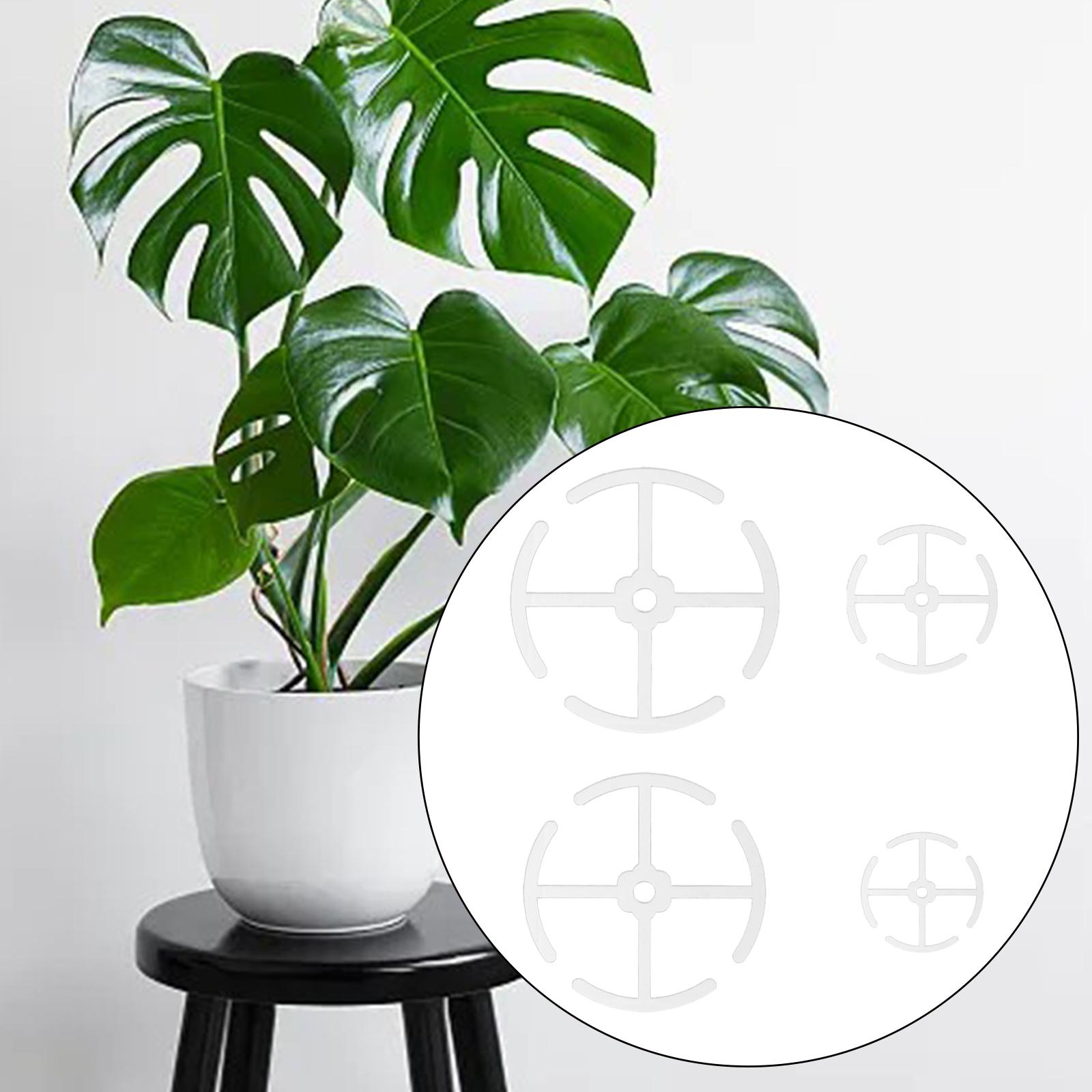 4Pcs Climbing Plant Stem Supports Growing Plants Plant Climbers Stem Holders