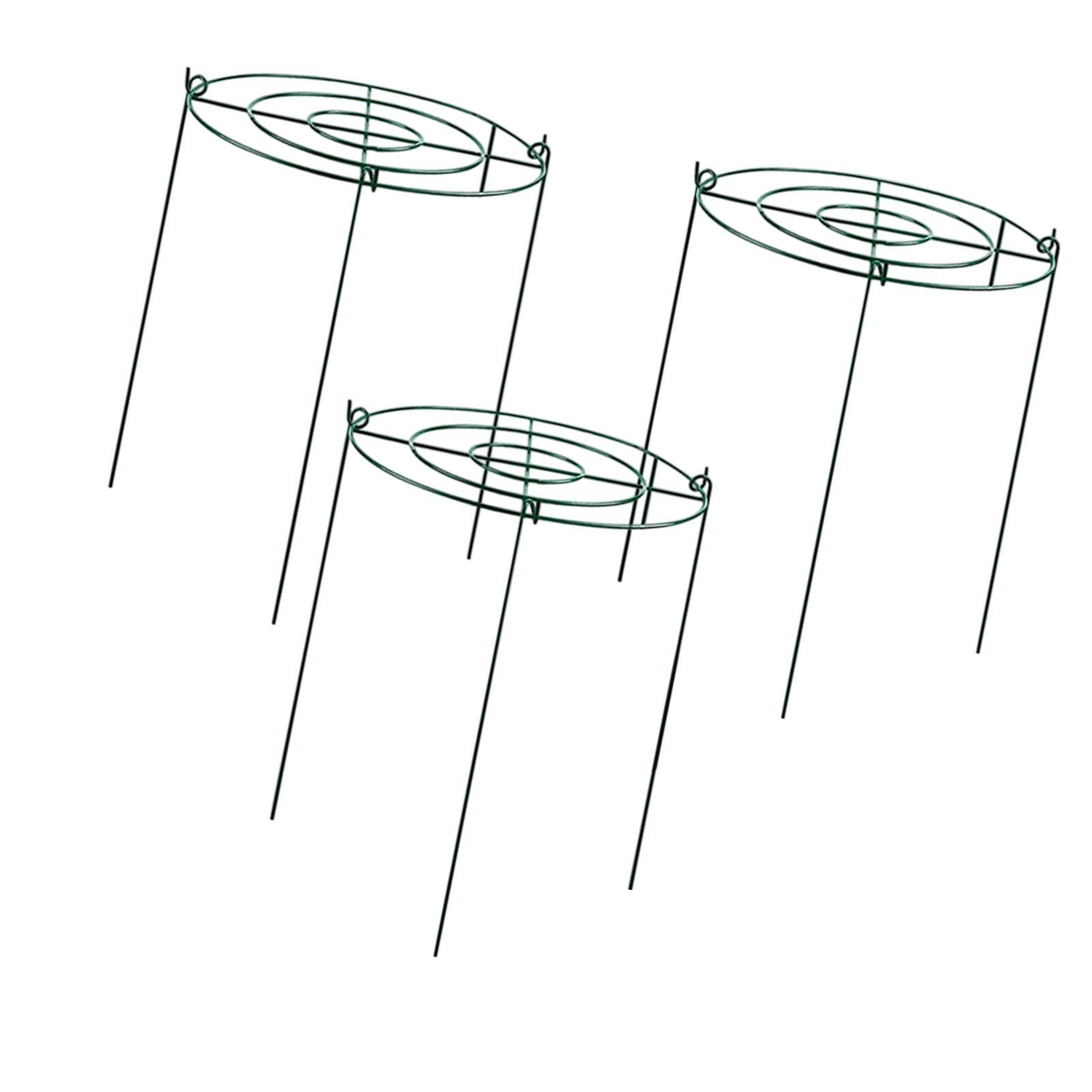 Peony Cages and Supports