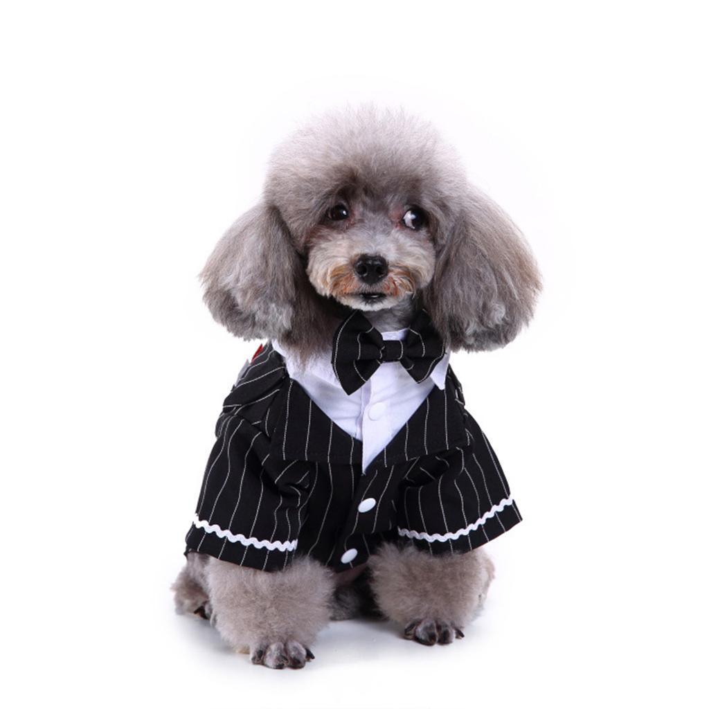 Gestreift Smoking Anzug für Hunde eBay