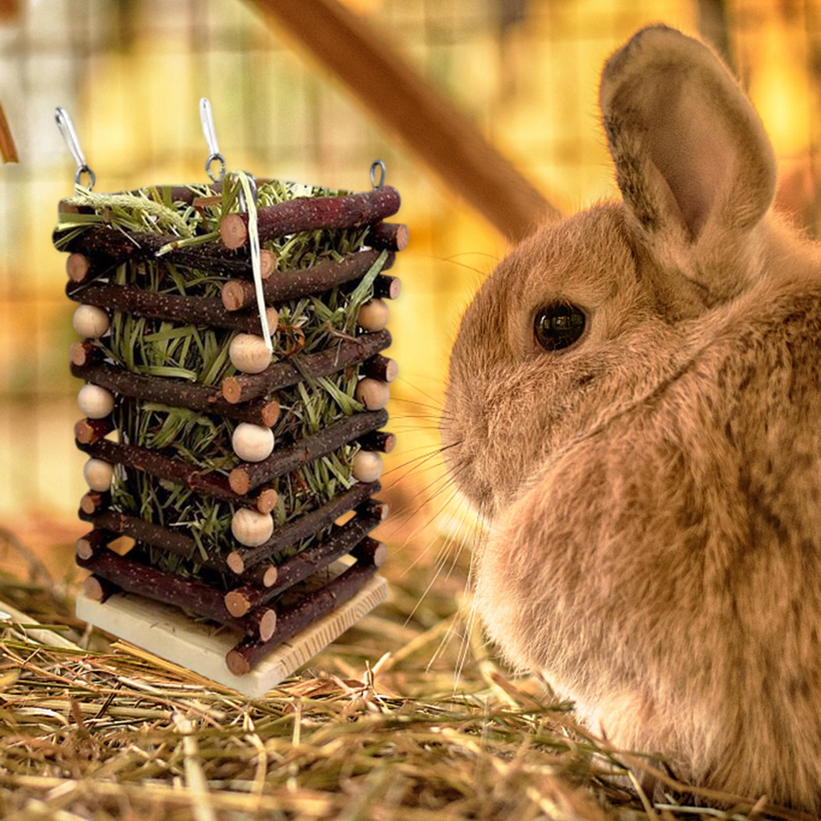 Rabbit Grass Frame Grass Natural Manger Rack Wooden for Chinchilla Rabbit