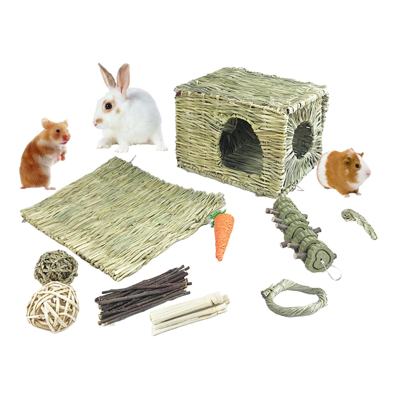 10Pcs Rabbit Molar Toy Set Hamster Teeth Care Small Animal Gerbil Pet