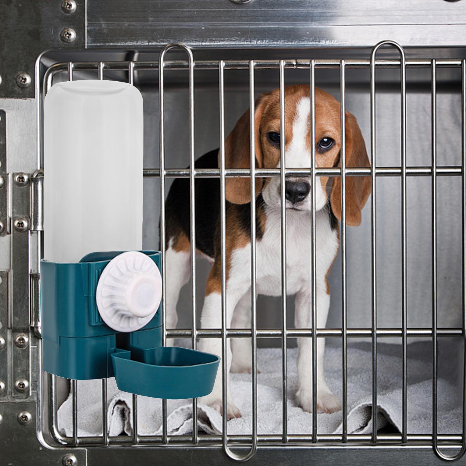 Puppy Cat Hanging Bowl with Water Bottle Convenient Water Supply Device Blue