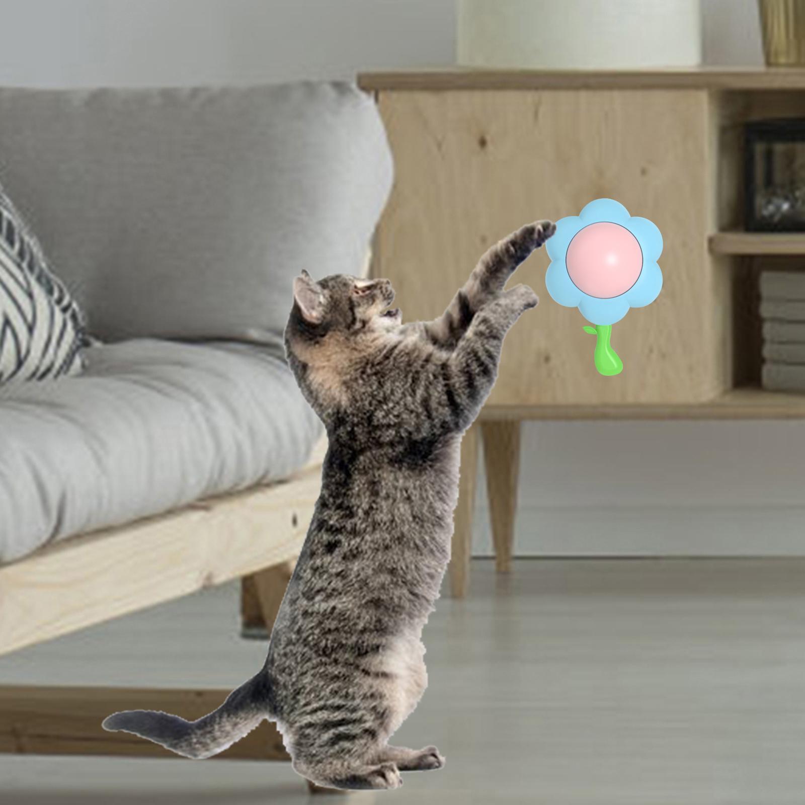 cat Snacks Catnip Cleaning Toy with Lid Solid Healthy Nutrition Blue 