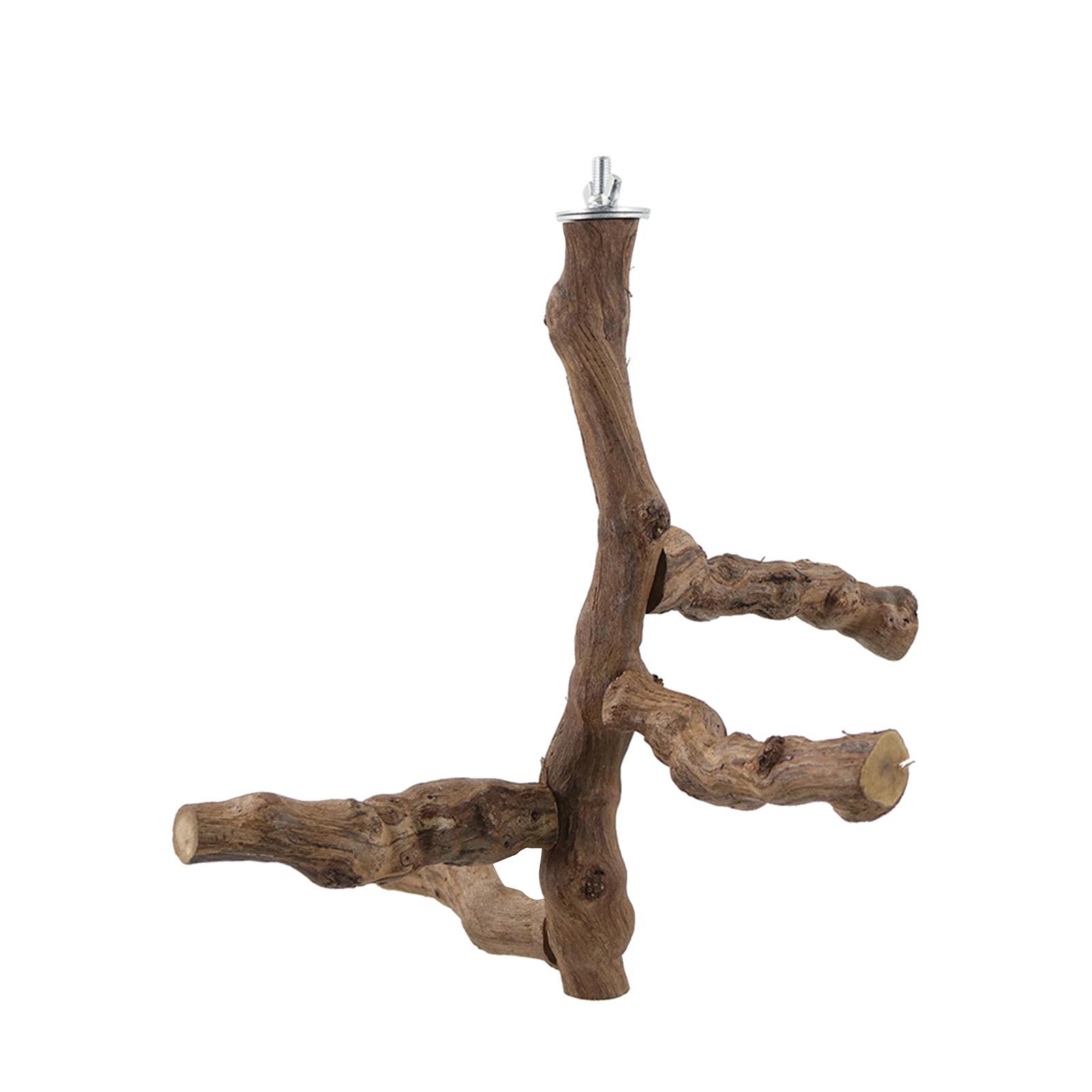 Bird Perch Activity Center
