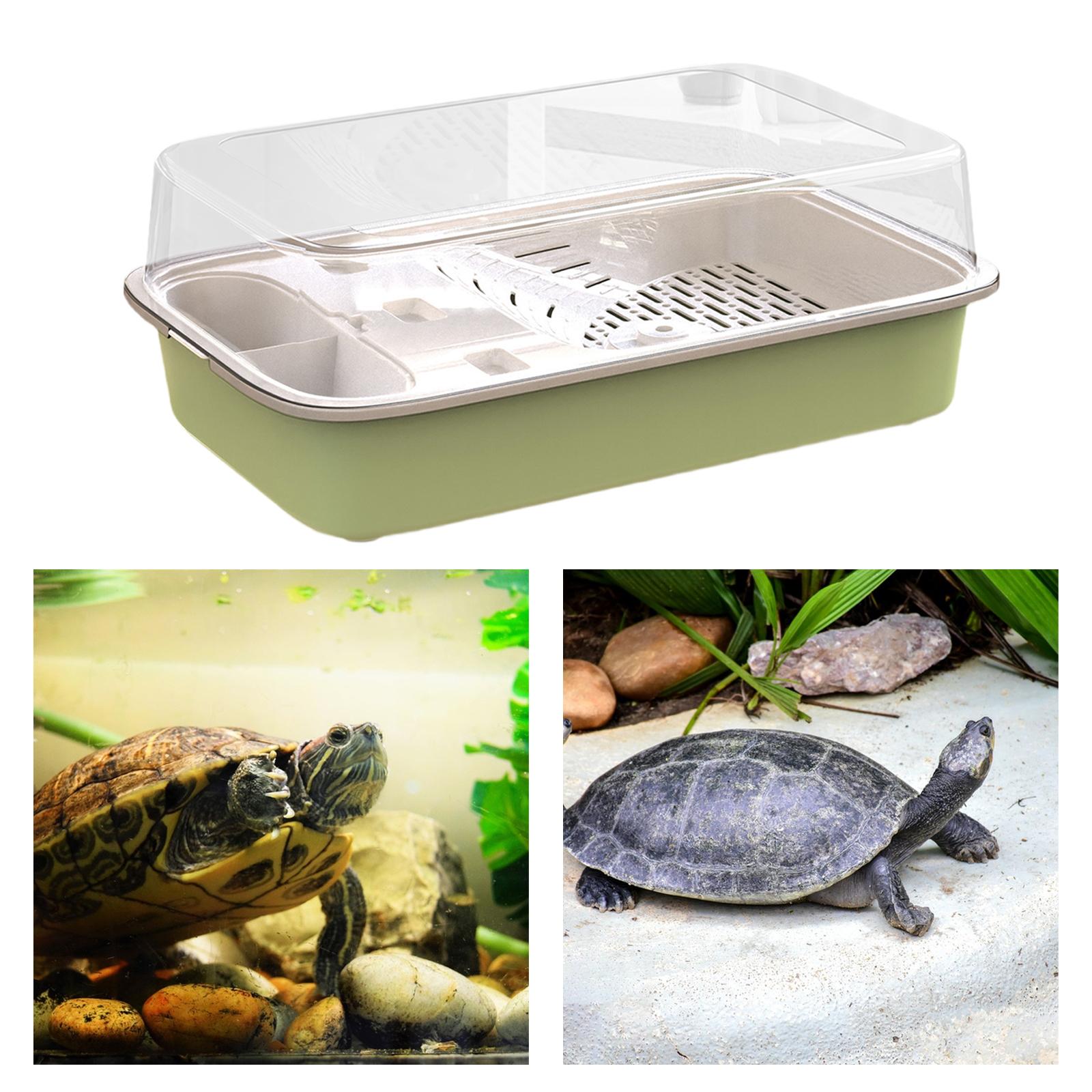 Turtle Tank Aquarium Hatching Feeding Box Resting Tortoise Enclosure Starter green