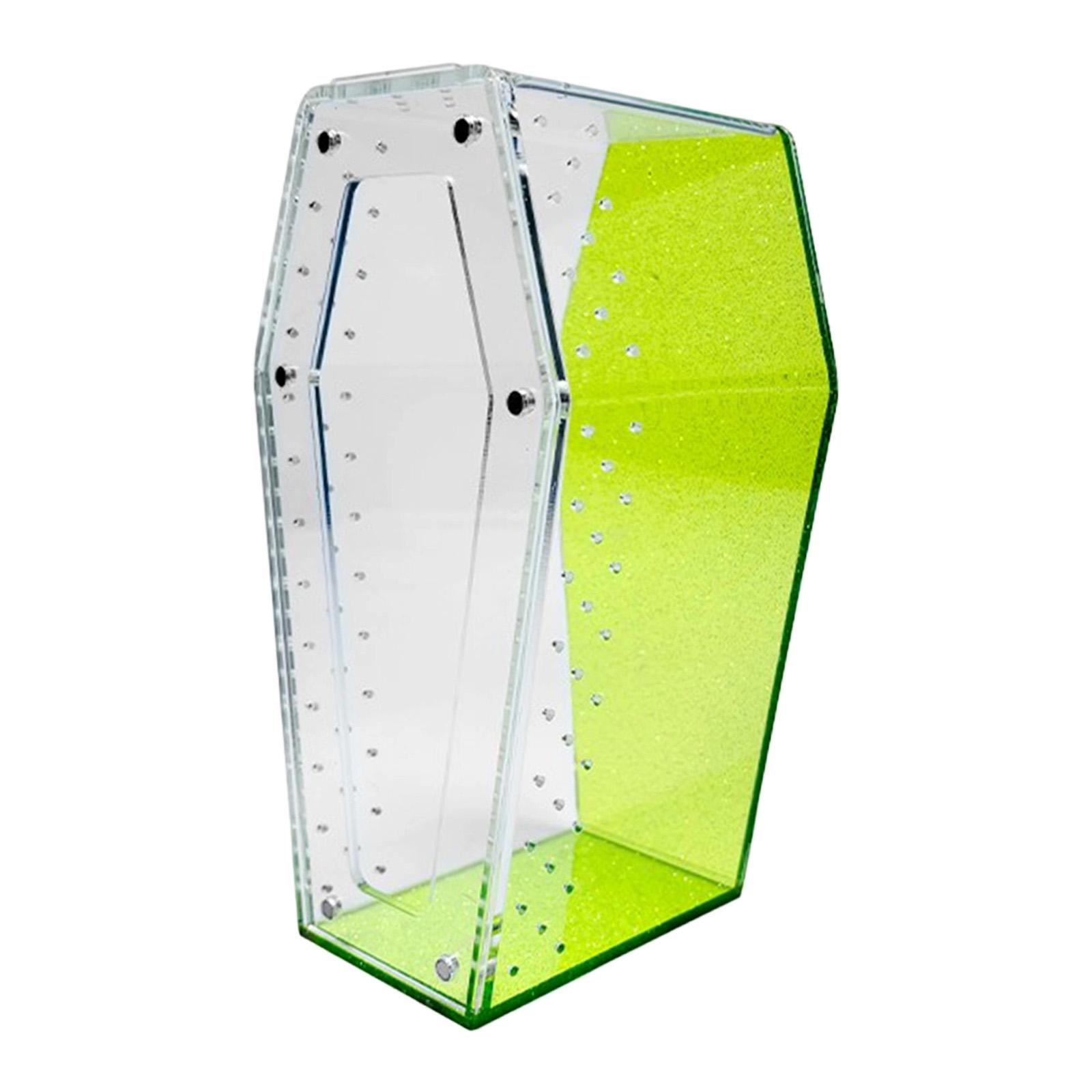 Jumping Spider Enclosure