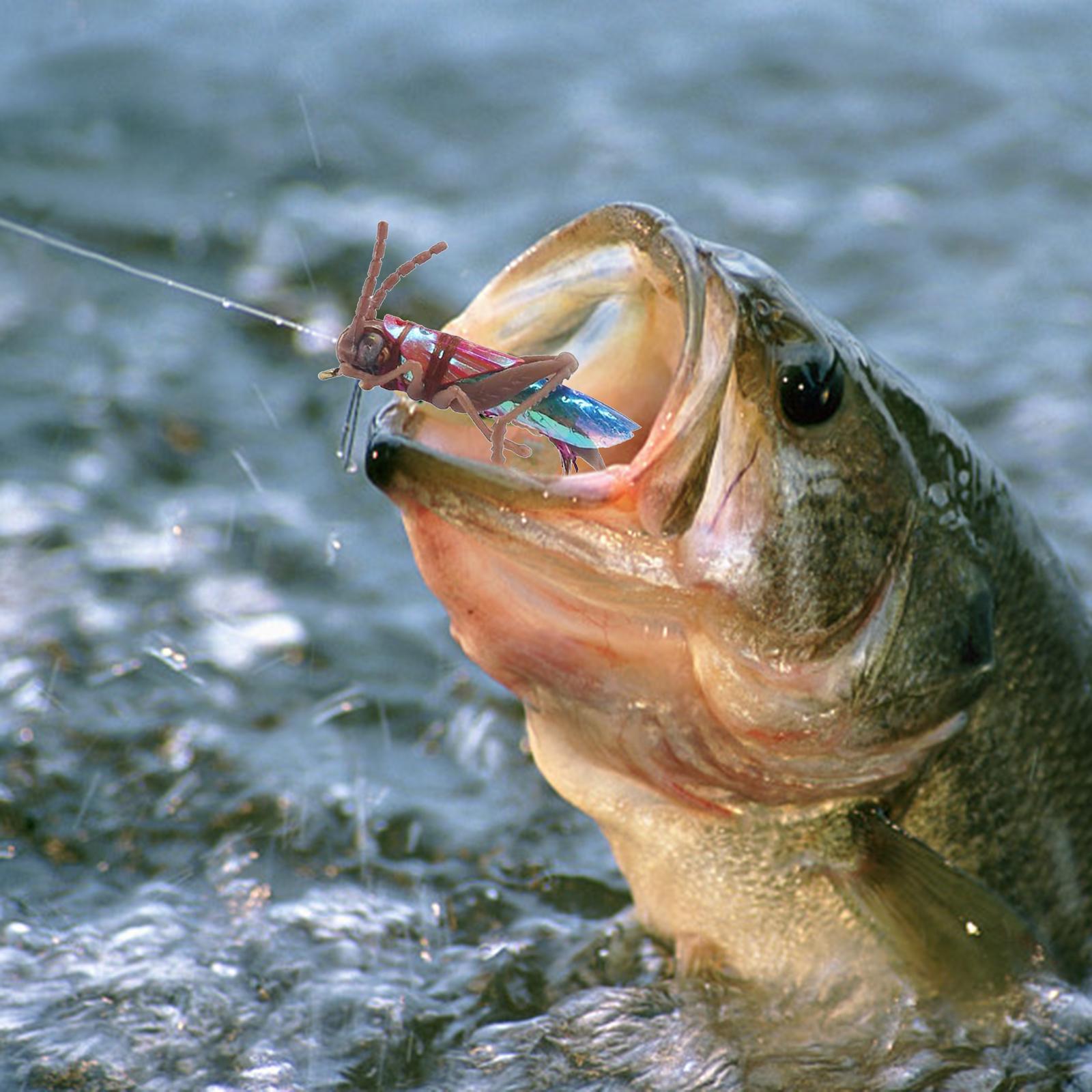 Locust Fishing Lures Crankbait Bass Lures Fishing Gift Slow Sinking Swimbait Brown