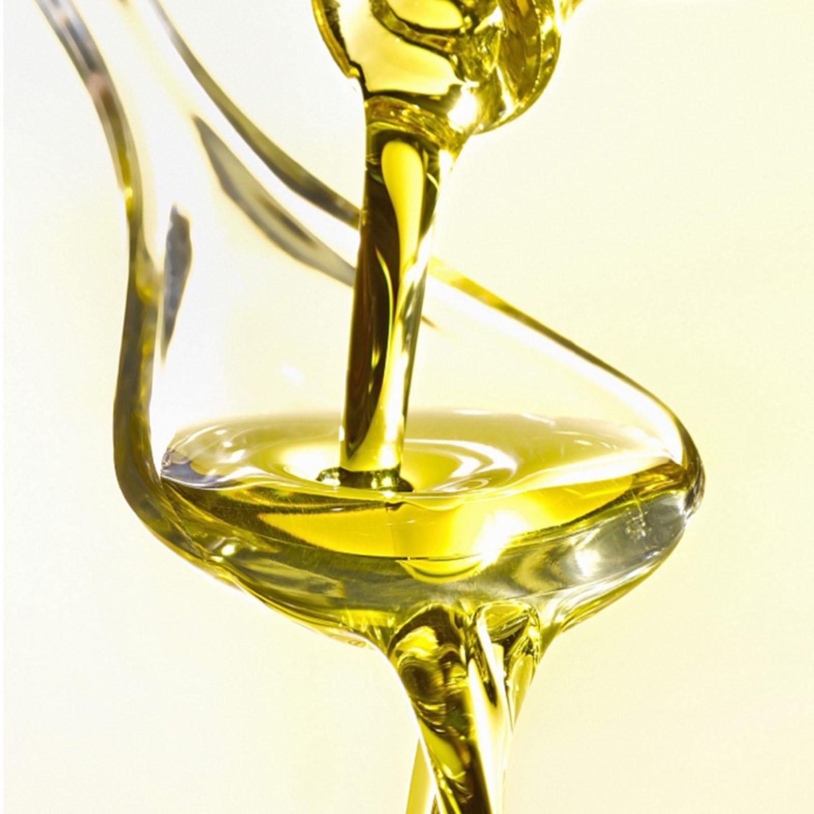 Manual Oil Press Machine Oil Extractor Peanut Stainless Steel Oil Expeller