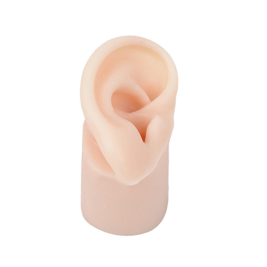 Silicone Ear Model Right