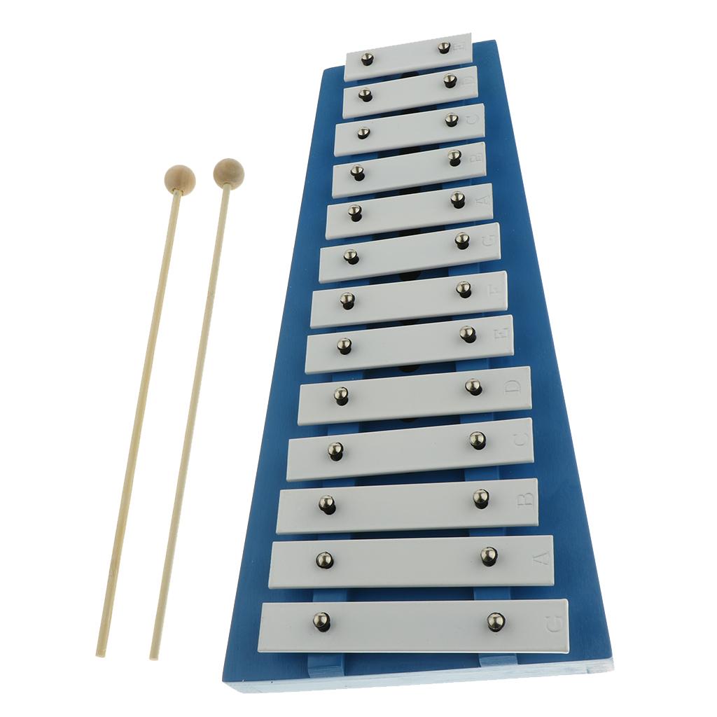 15 Keys Aluminum Xylophone with Mallets for Kids Early Educational