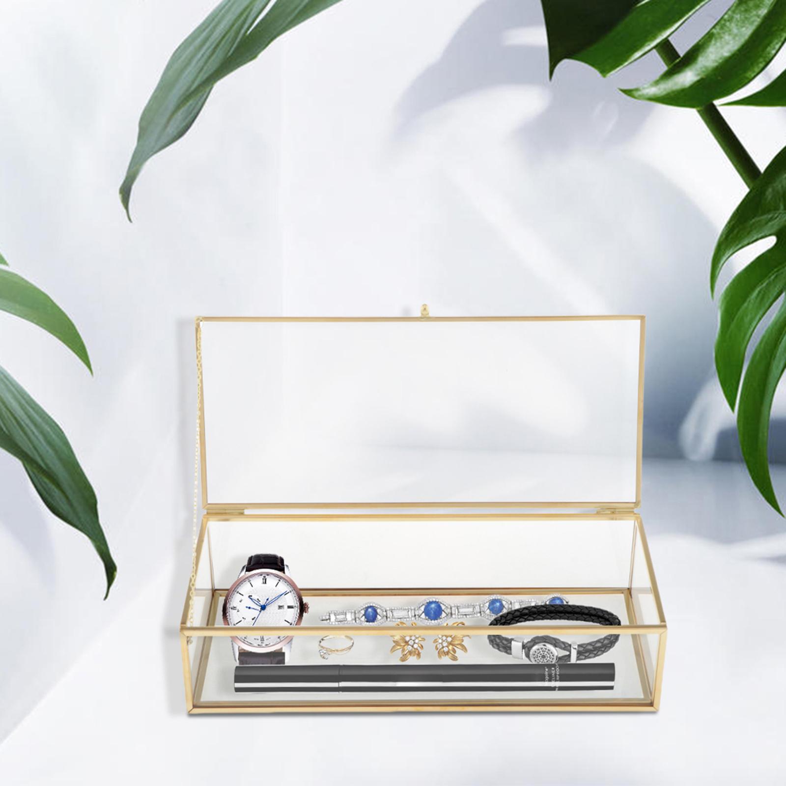 Clear Glass Jewelry Trinket Display Box +Lid, Plant Flower Holder Terrarium 