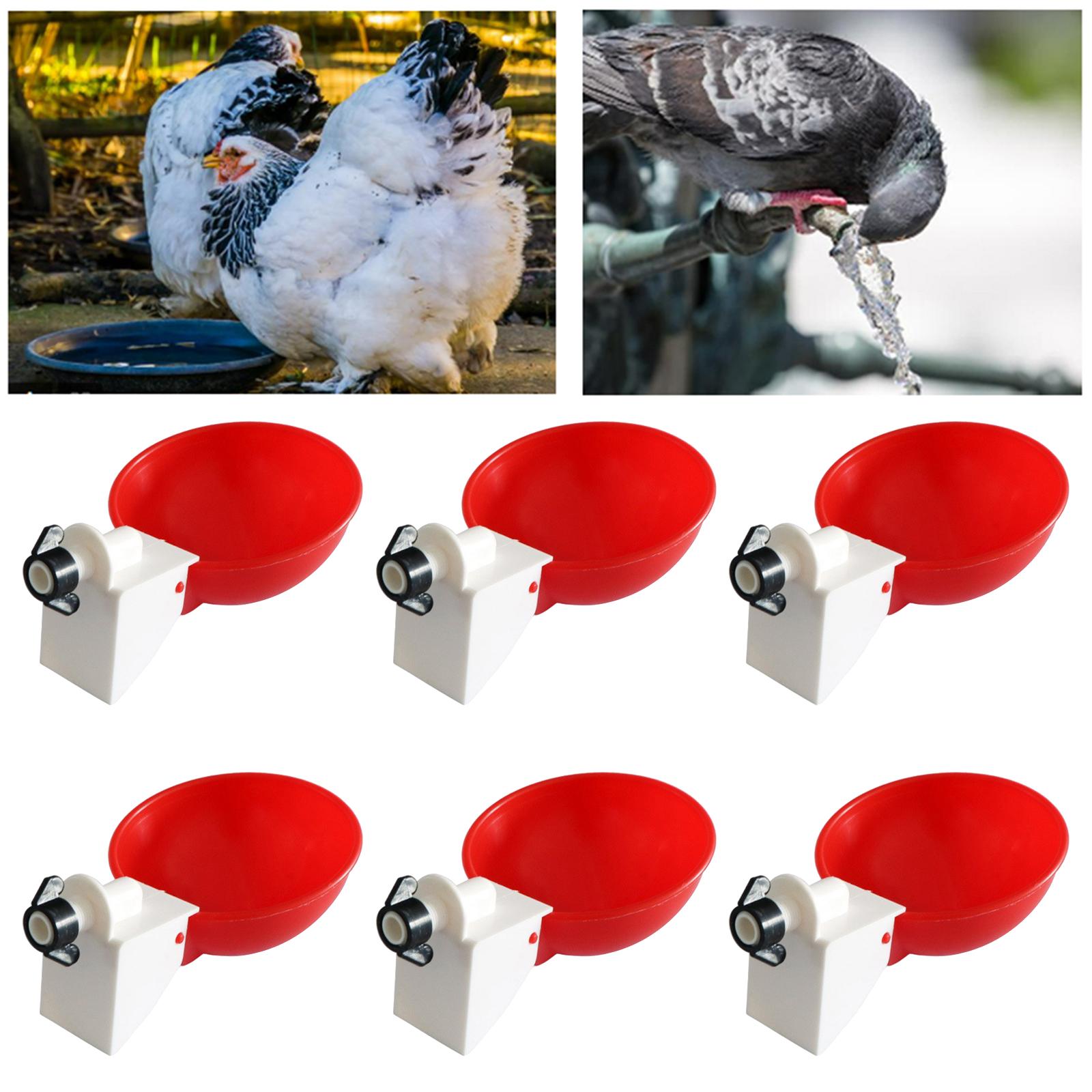 6 Pieces Chicken Drinkers Water Bowl Plastic Drinking Bowls for Quail Chicks Red