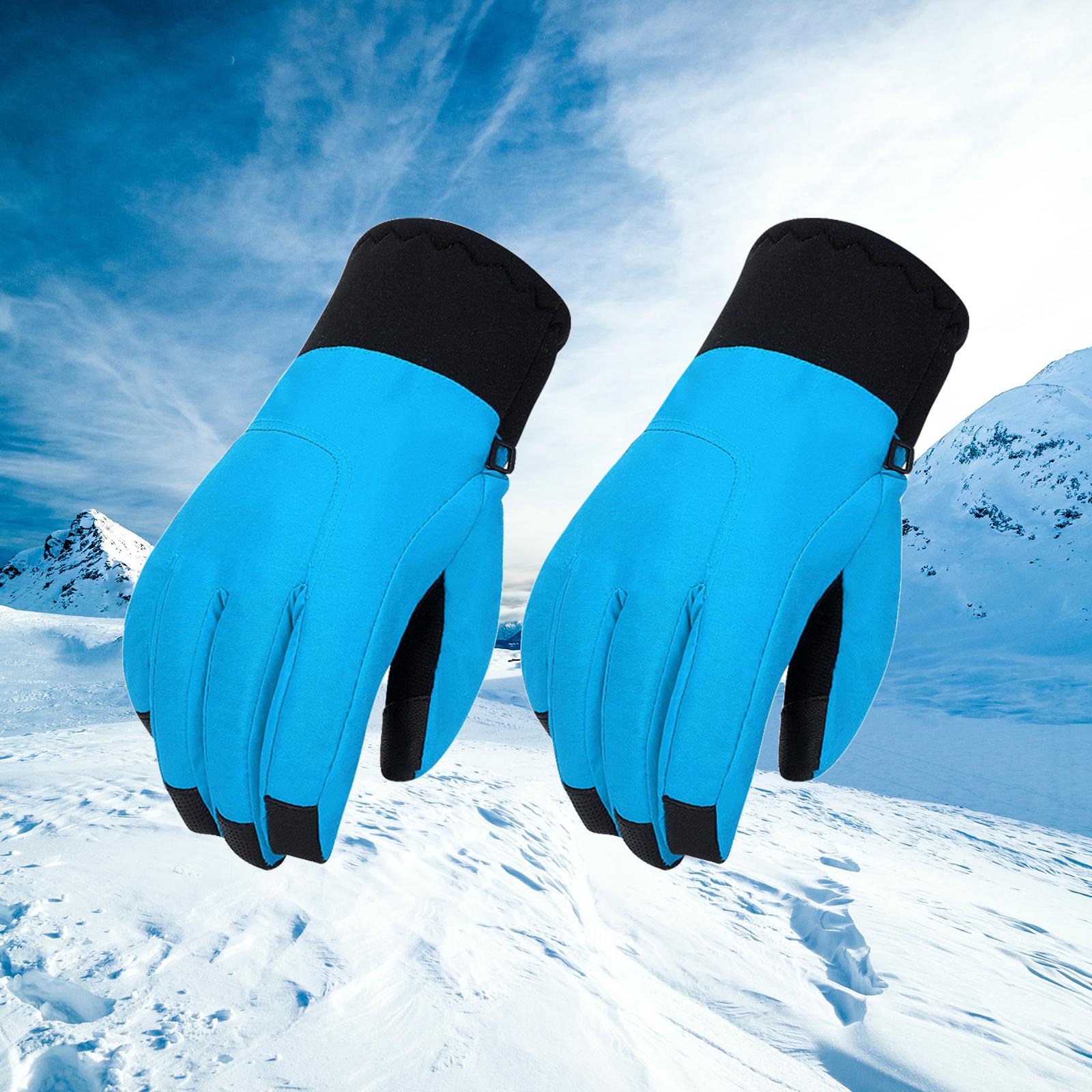 Ski Gloves Touchscreen Texting Typing Winter Warm Gloves for Outdoor Sport Blue
