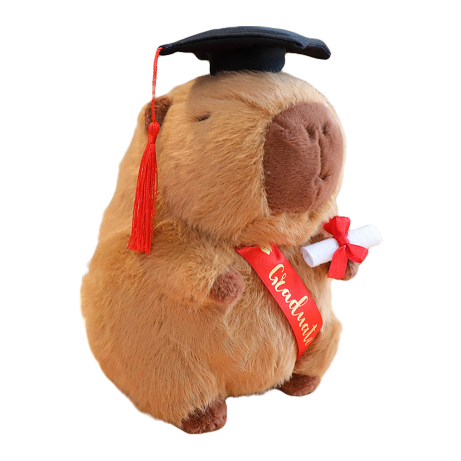 Graduation Capybara Doll