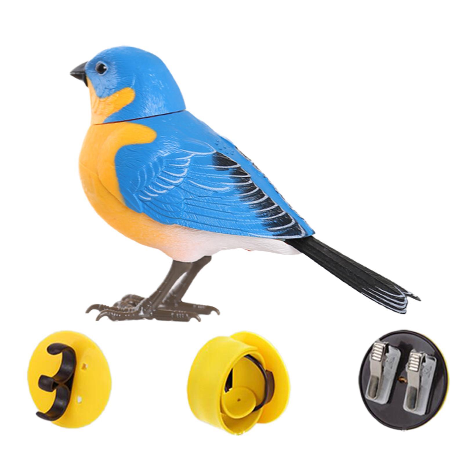 Parakeet Singing Toy Bluebird