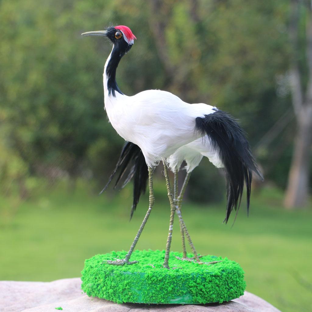 Détails Sur Réaliste Couronné Rouge Crane Oiseaux Statue Réaliste Figurine