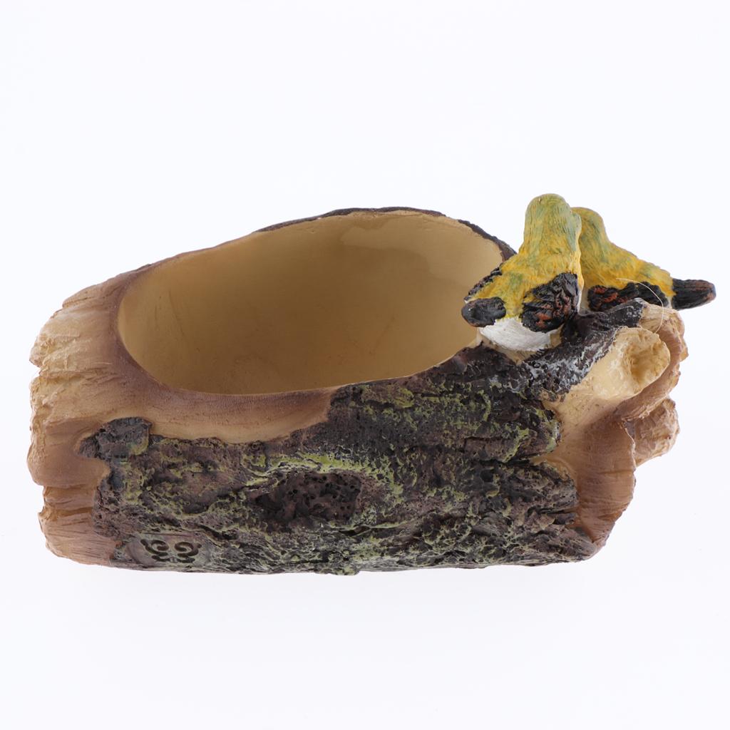 Flower Plants vase Original Cute Succulent Plants Planter Flower Plants vase Original Cute Succulent Plants Planter