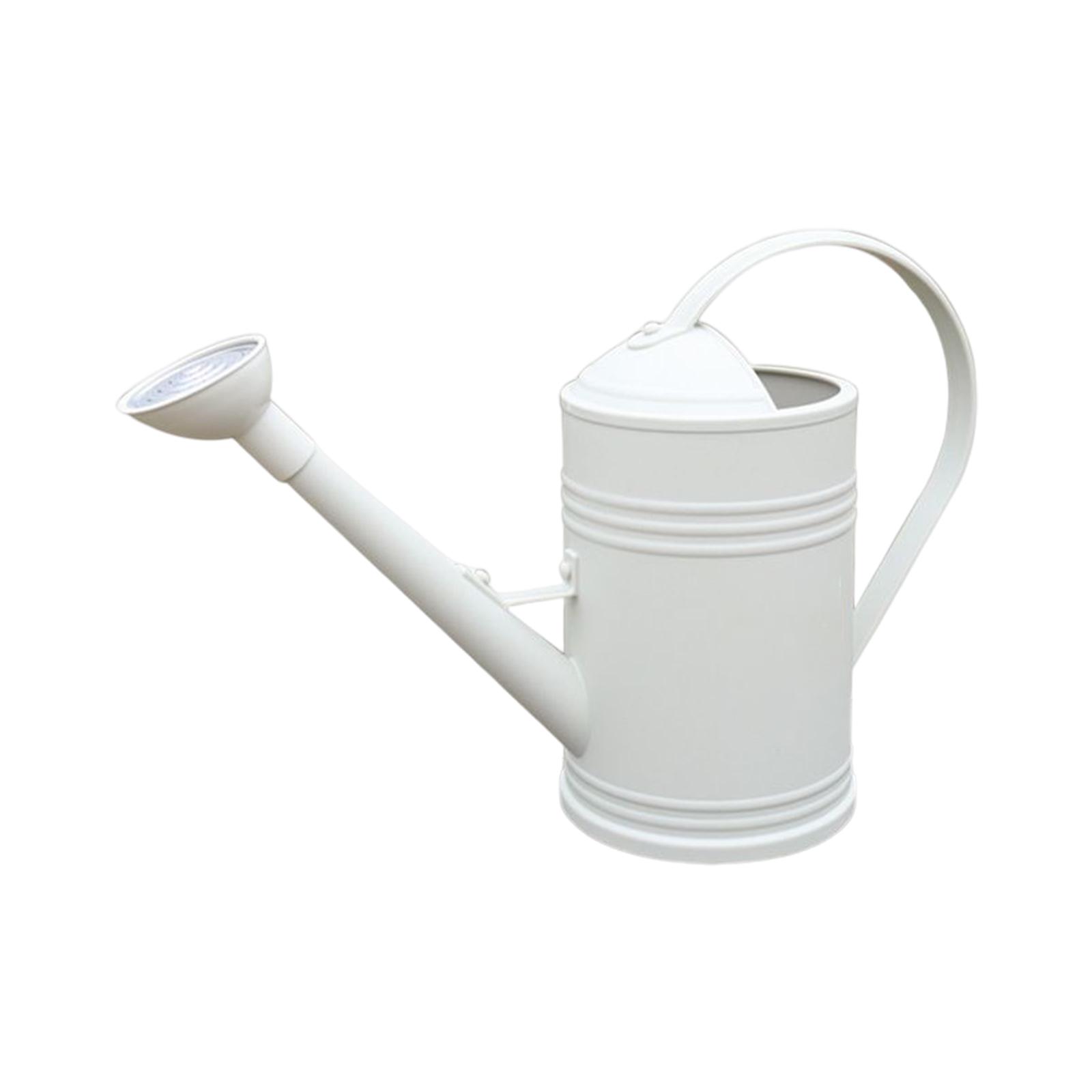 Watering Can with Sprinkler Head