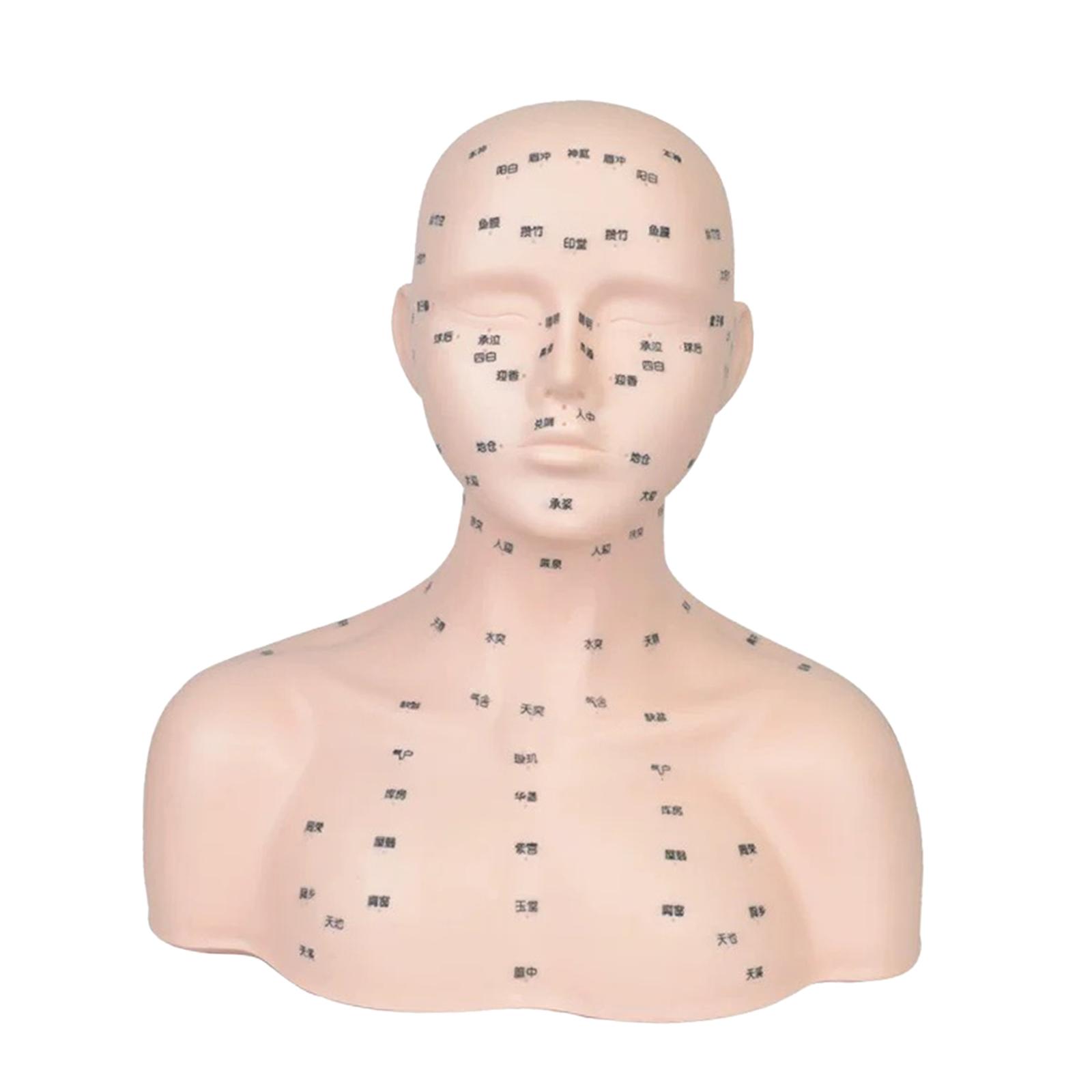 Mannequin Head Massage