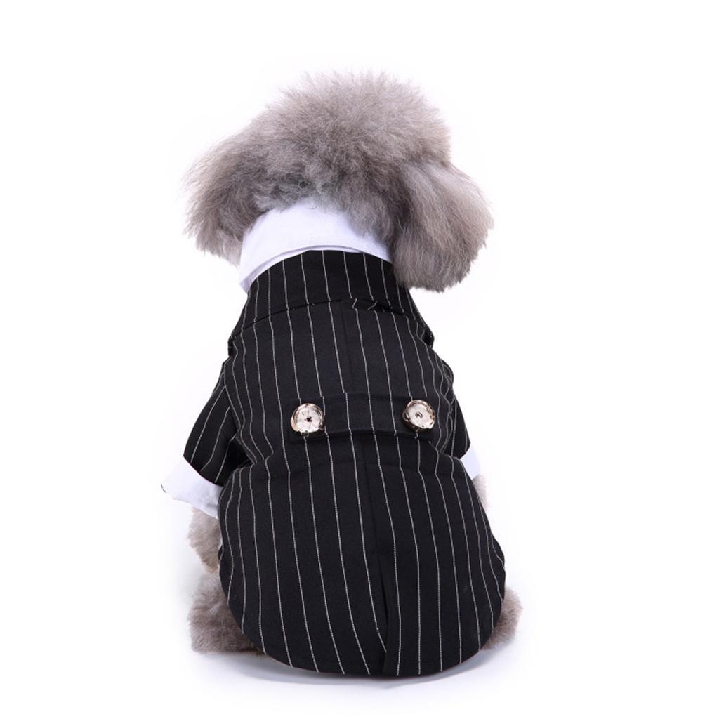Gestreift Smoking Anzug für Hunde eBay