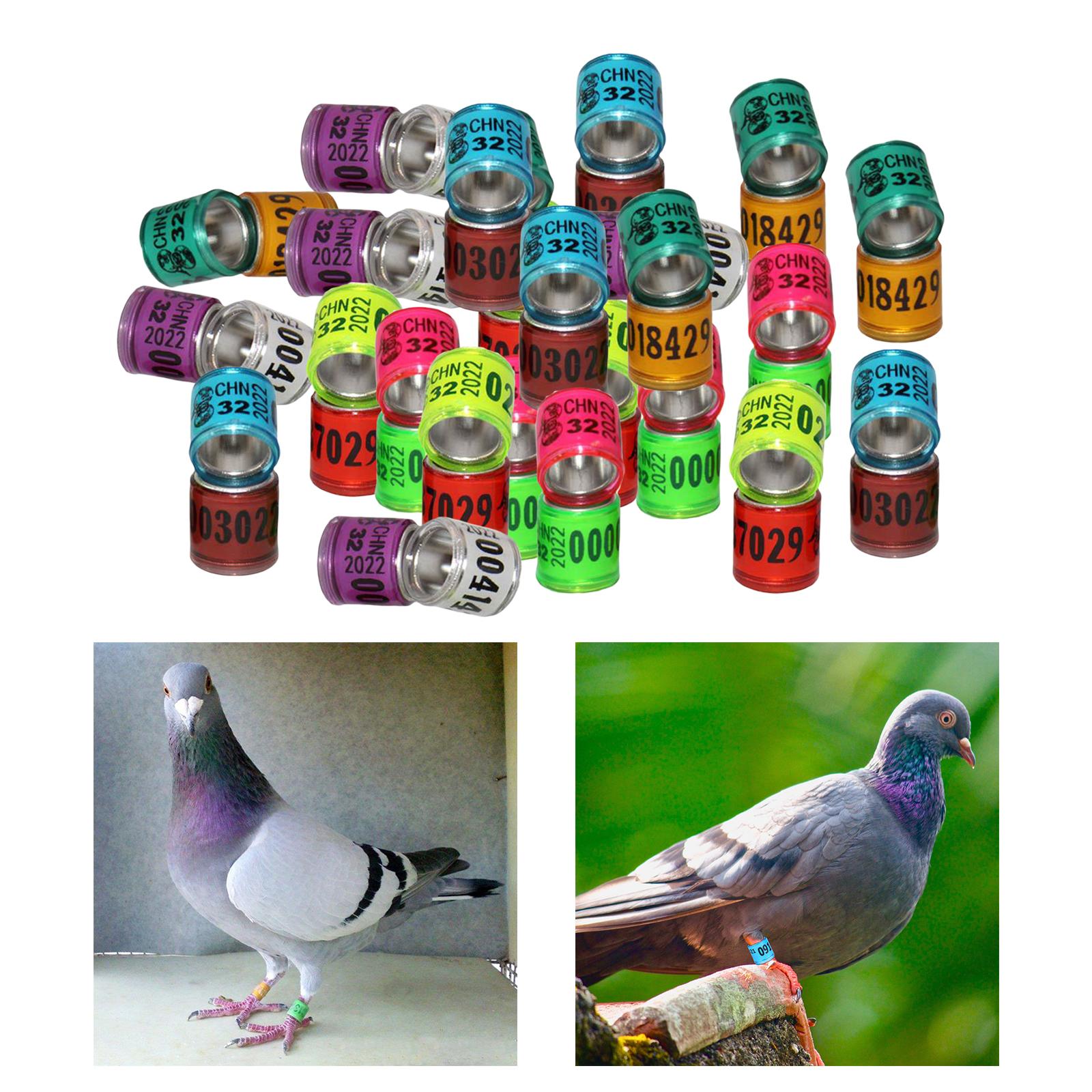 100Pcs 2022 Aluminium Bird Racing Pigeon Foot Rings Bands 8mm Mix