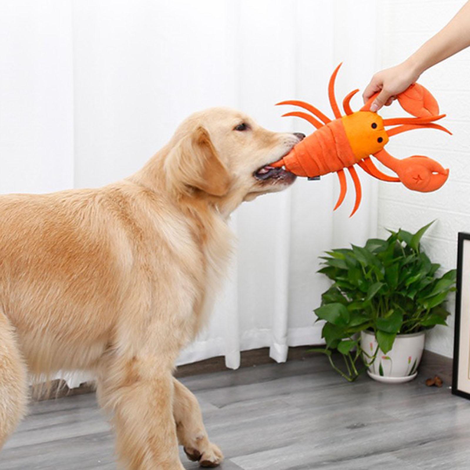 Dog Interactive Molar Stick Lobster Durable Teeth Clean Tool Dog Chew Toys