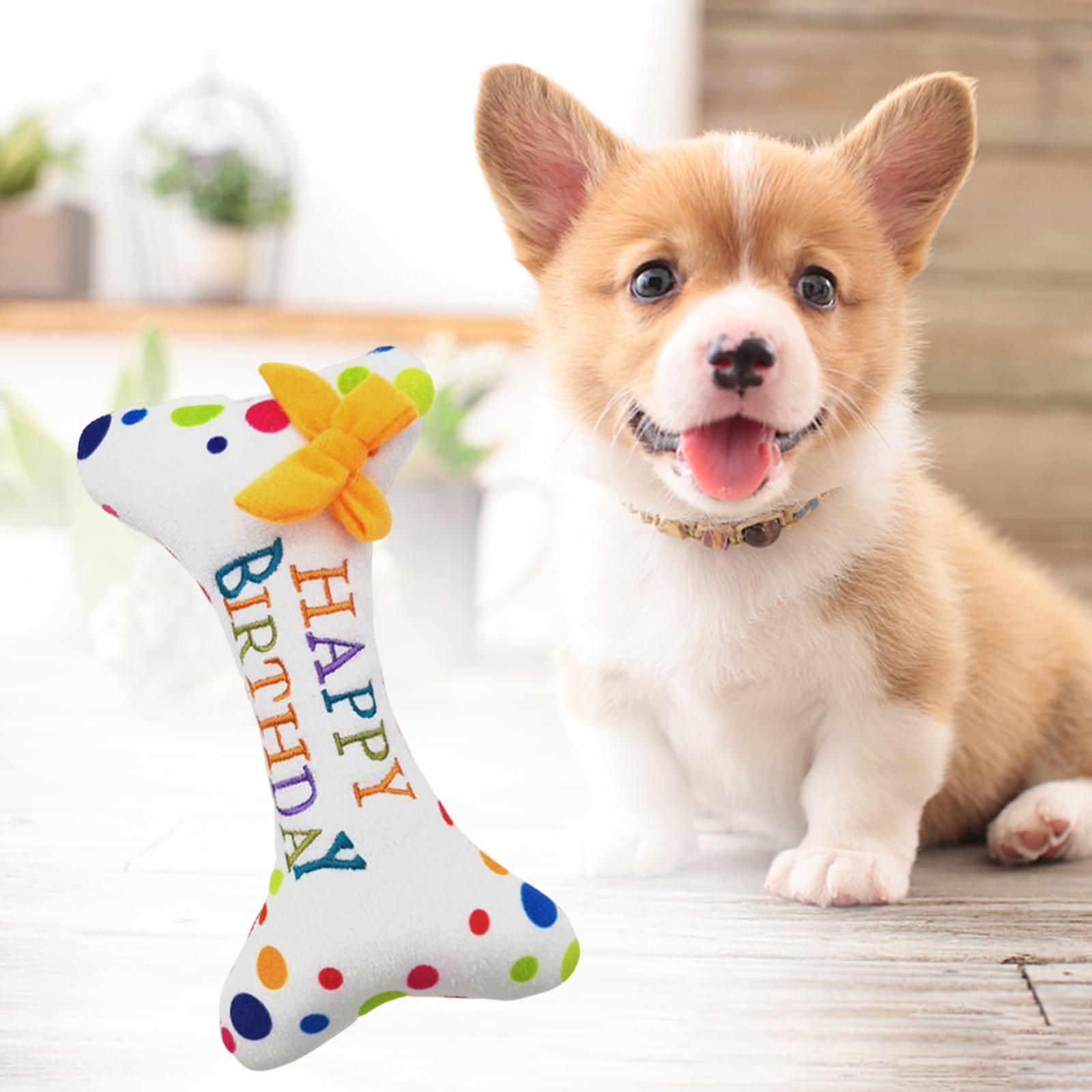 Dog Large Birthday Cake, Bone, Present Squeaky Plush Toy Bone