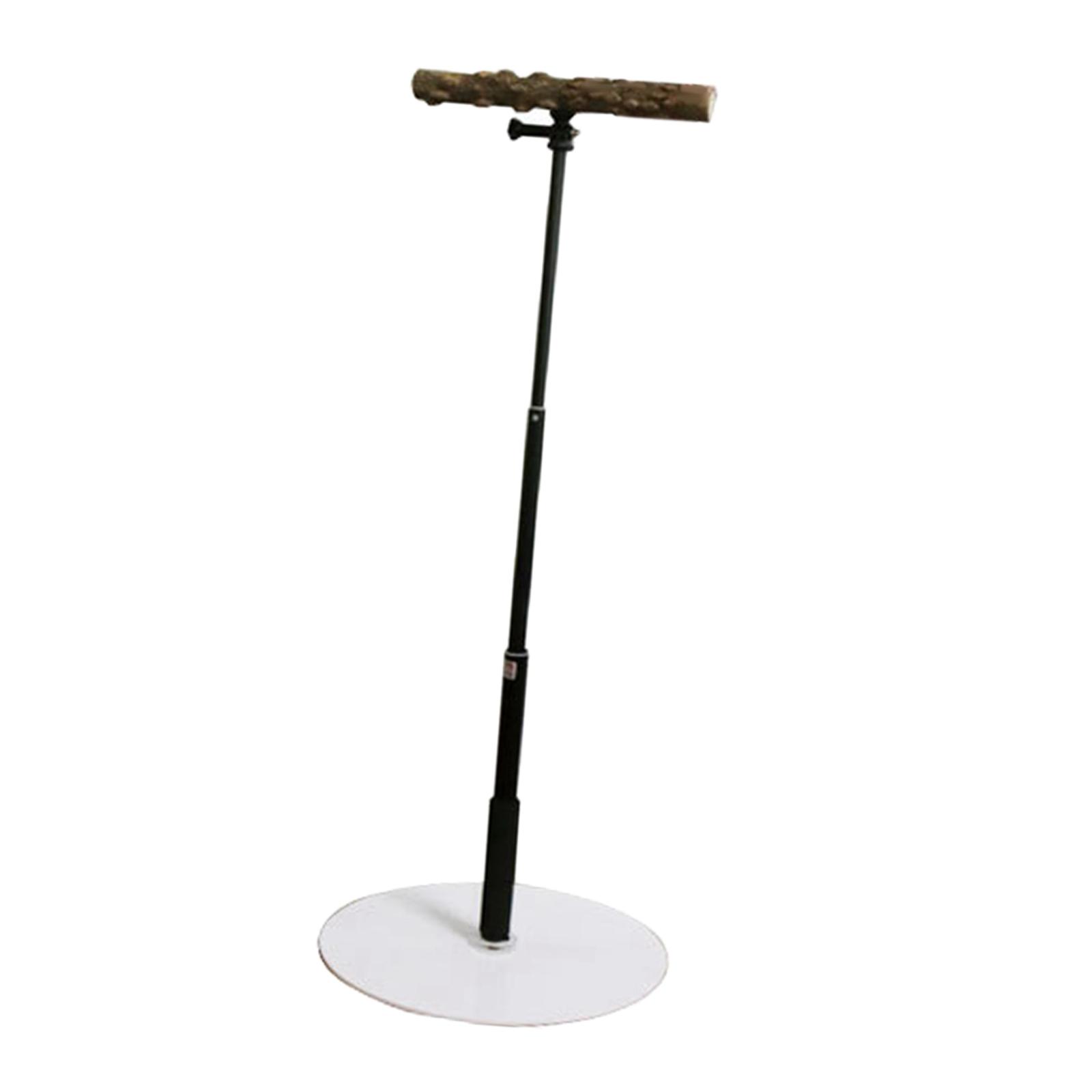 Wooden T Stand Bird Perch