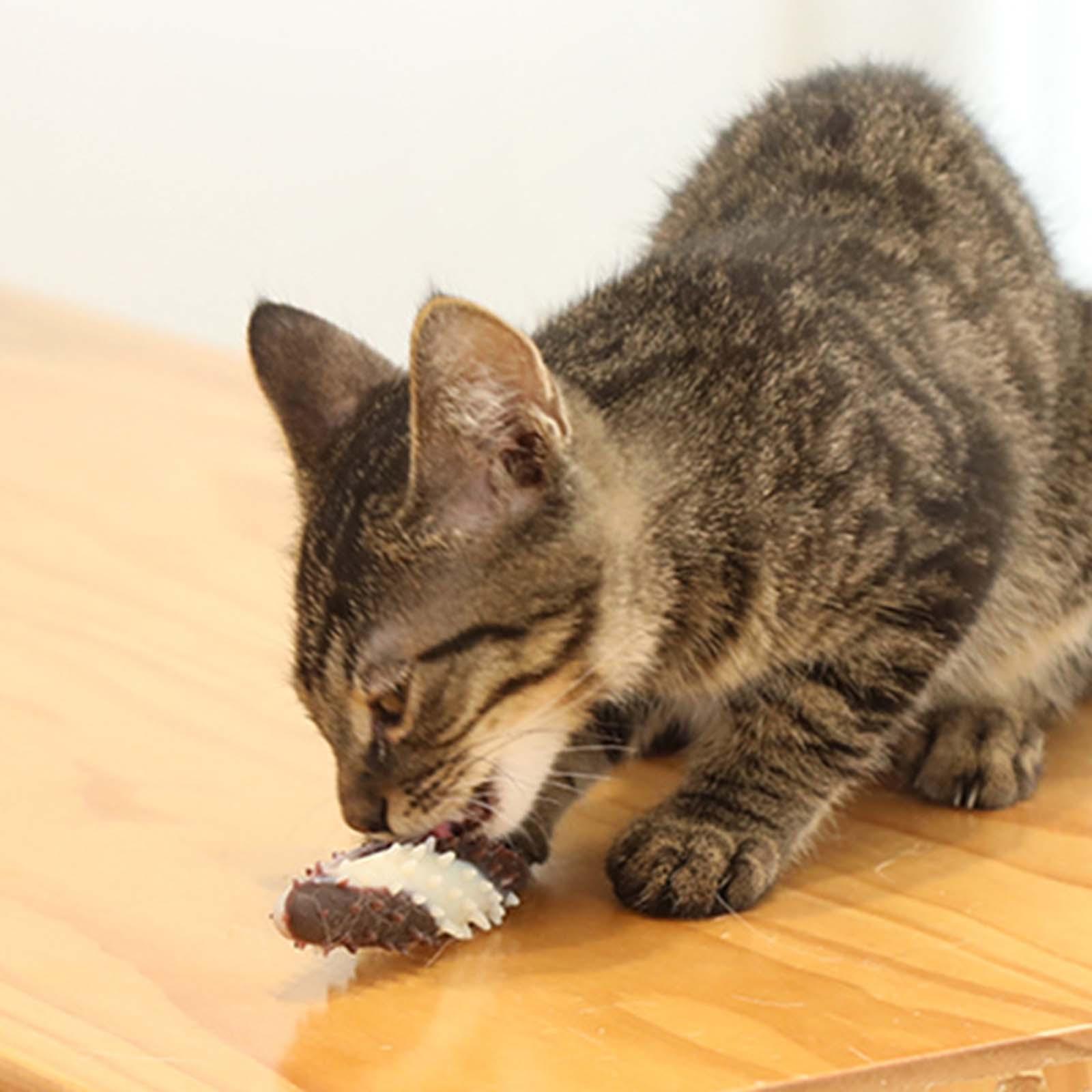 cat chewing Toy pet Bite Resistant Molar Stick Educational Toys