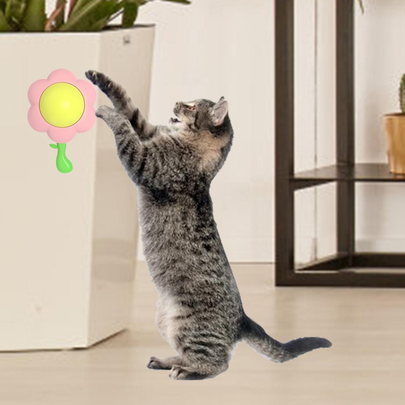 cat Snacks Catnip Cleaning Toy with Lid Solid Healthy Nutrition Pink 