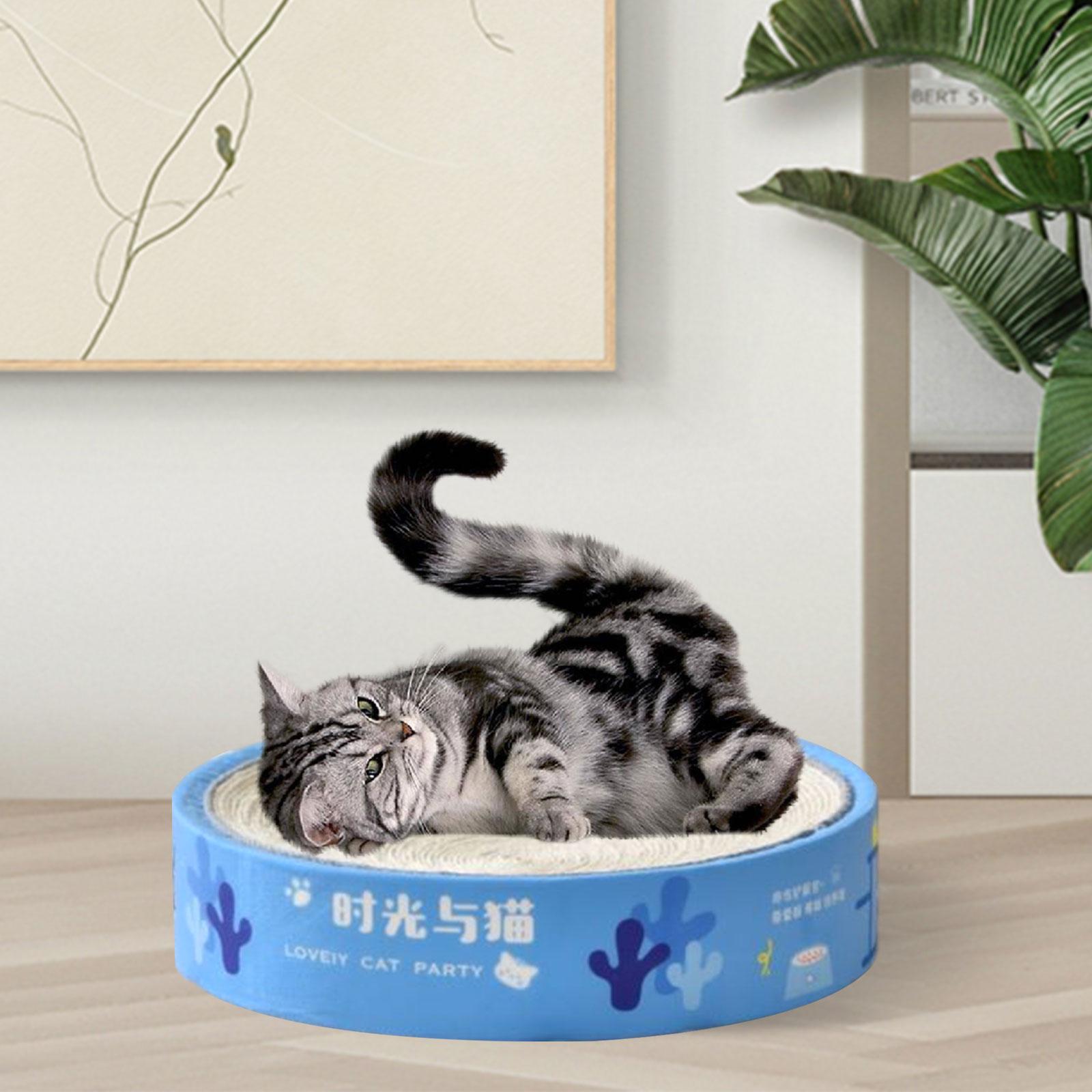 Cats Scratcher Board Bowl Scratching Lounge Bed Grinding Claw Kitty Training blue
