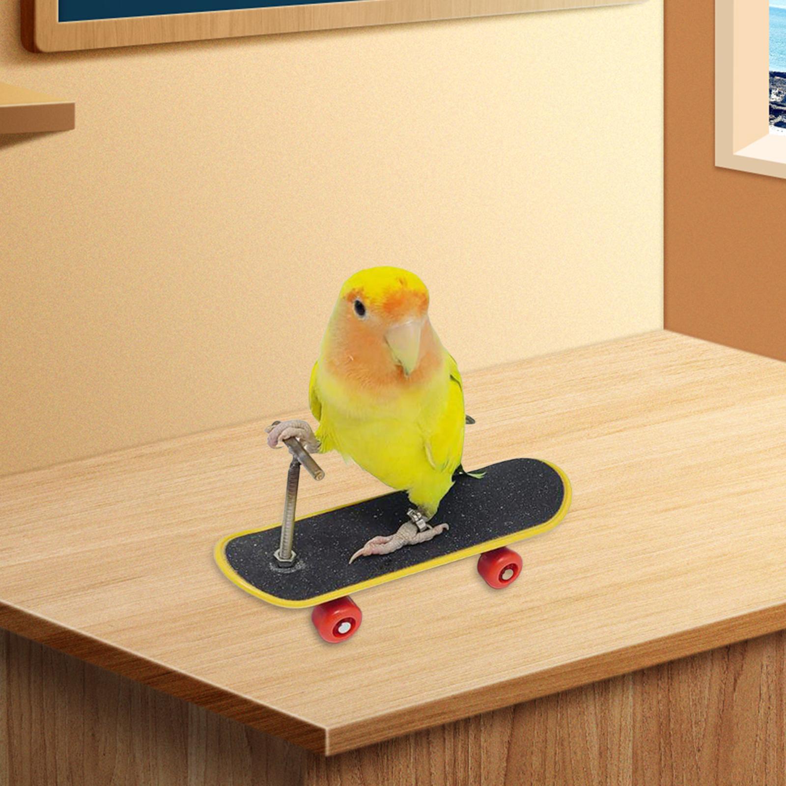 Parakeet Toy Bird Perch Stand Playing Solid Bird Perches Bird Skateboard Toy