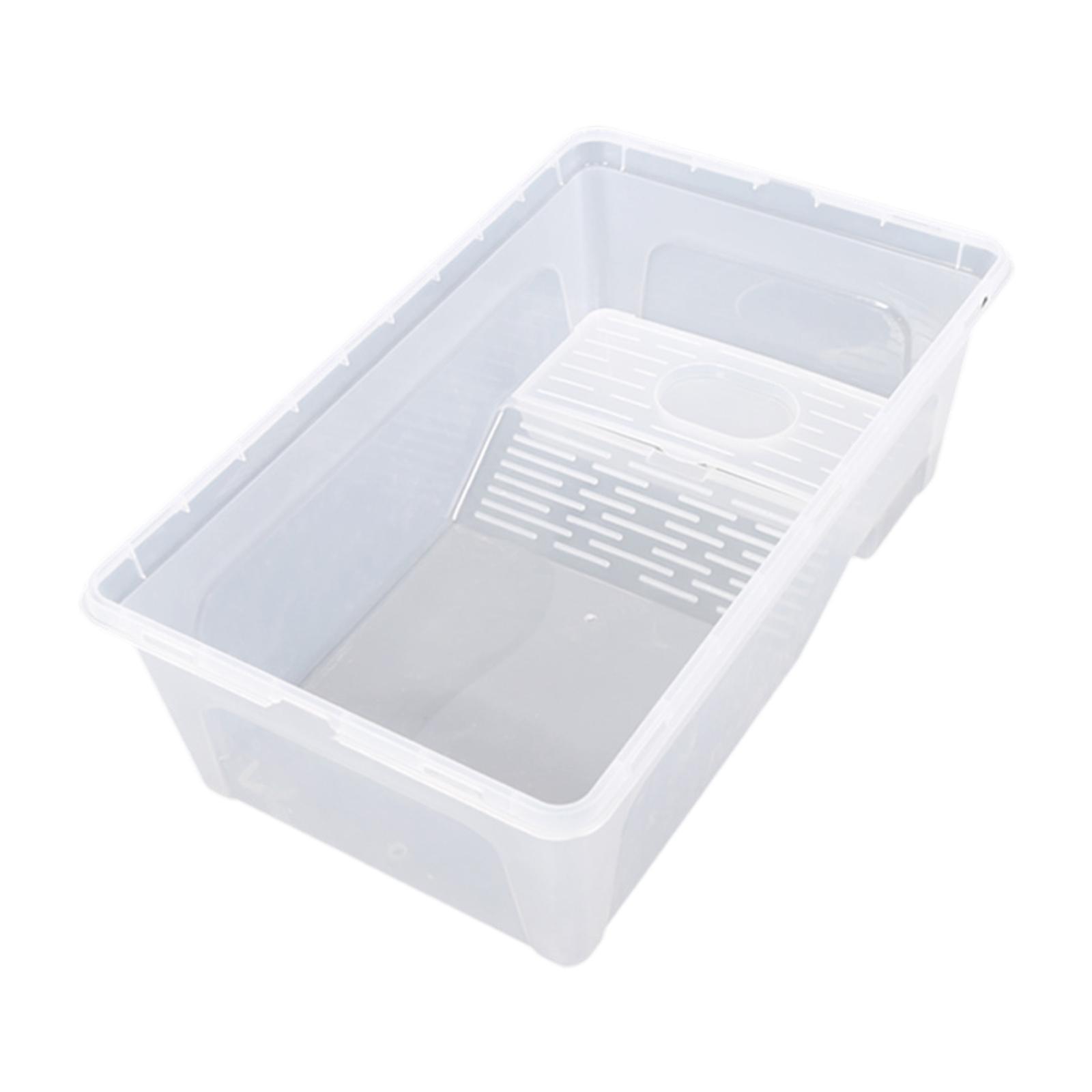 Turtle Tank Display Container