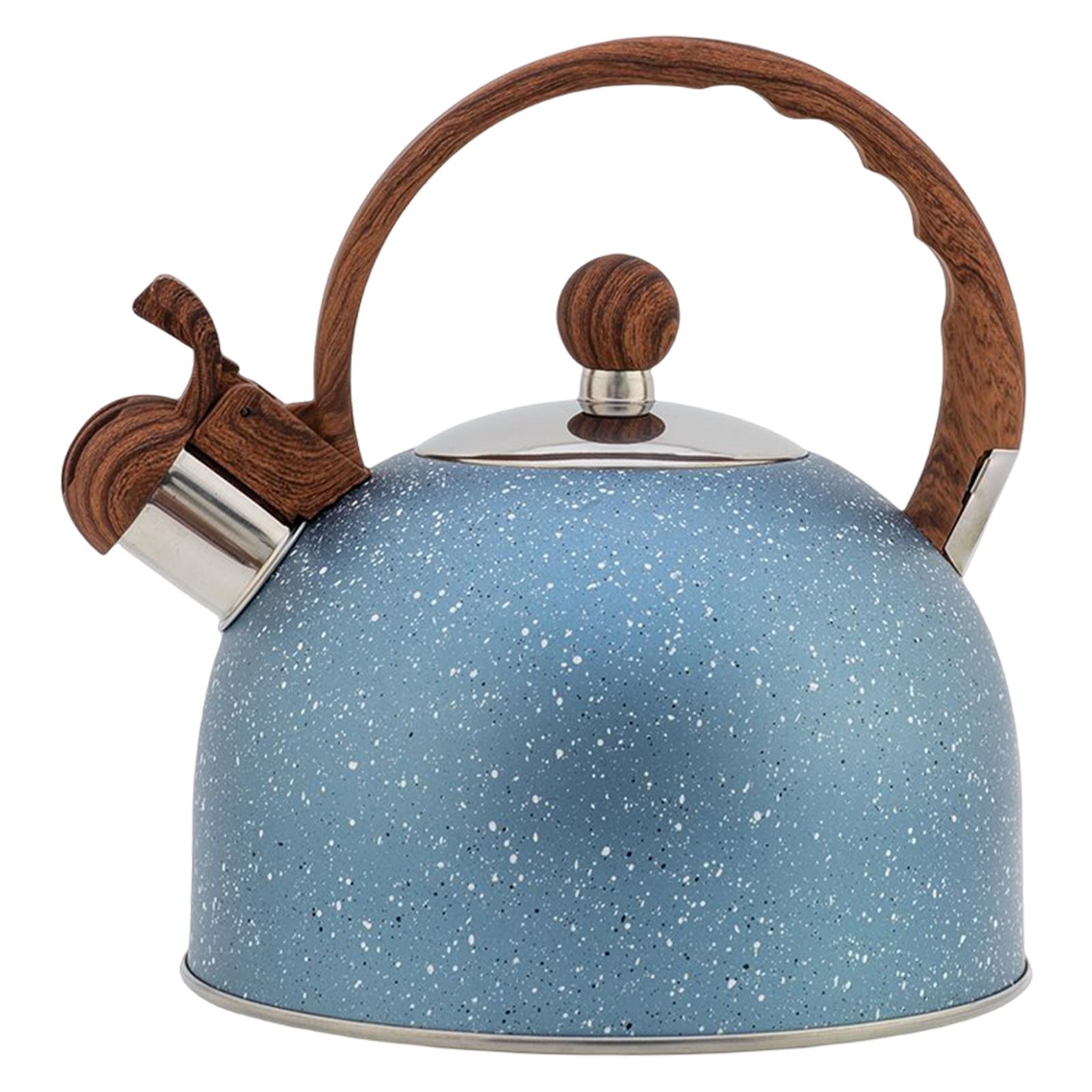 Stainless Steel Tea Kettle